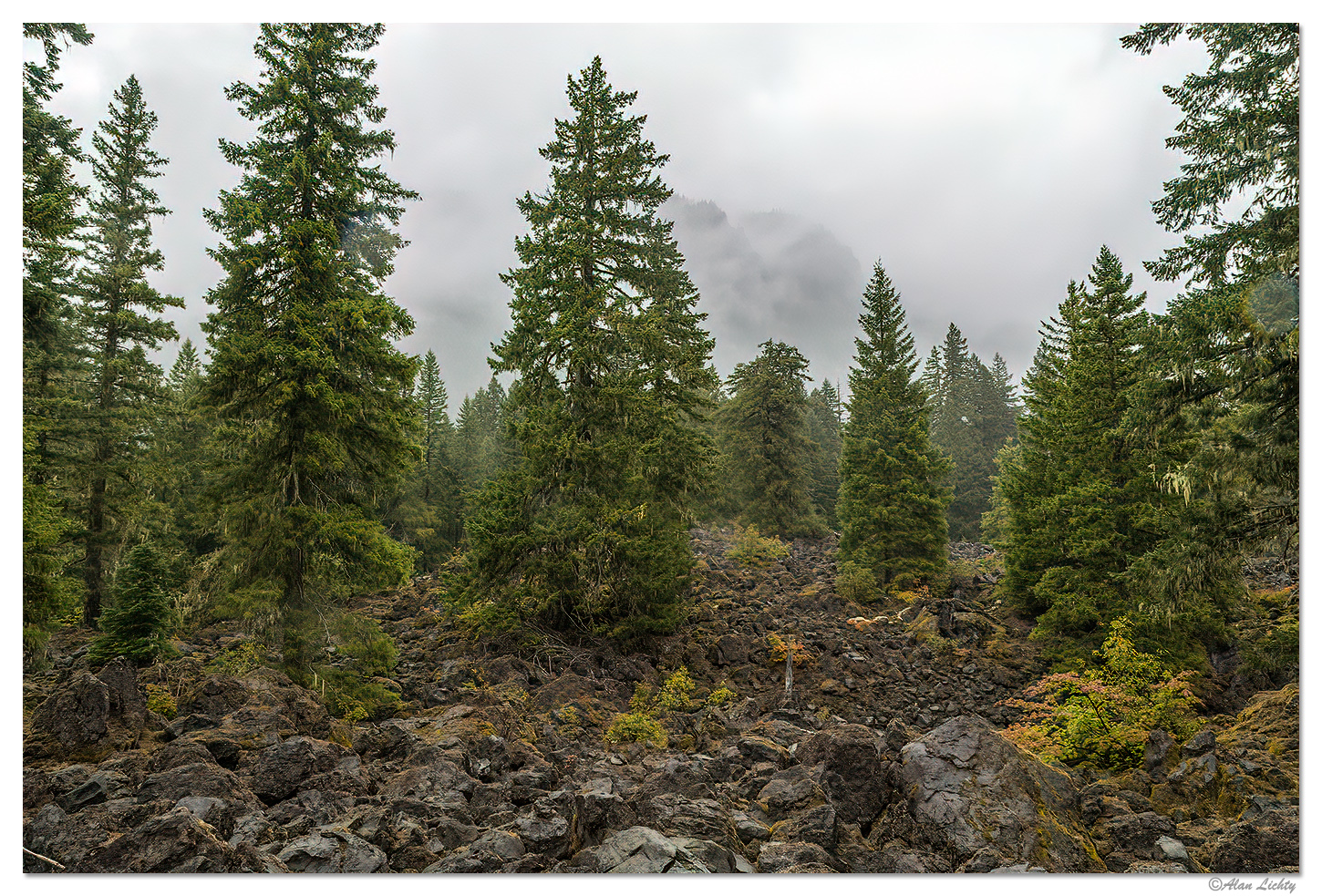 Proxy Falls Trail