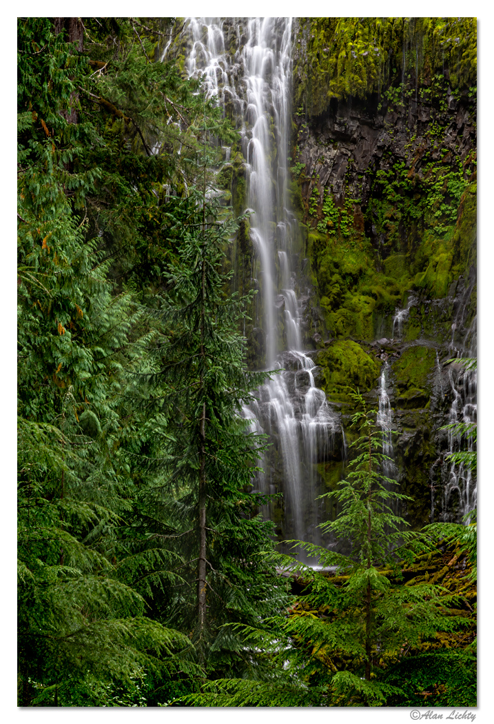 Proxy Falls