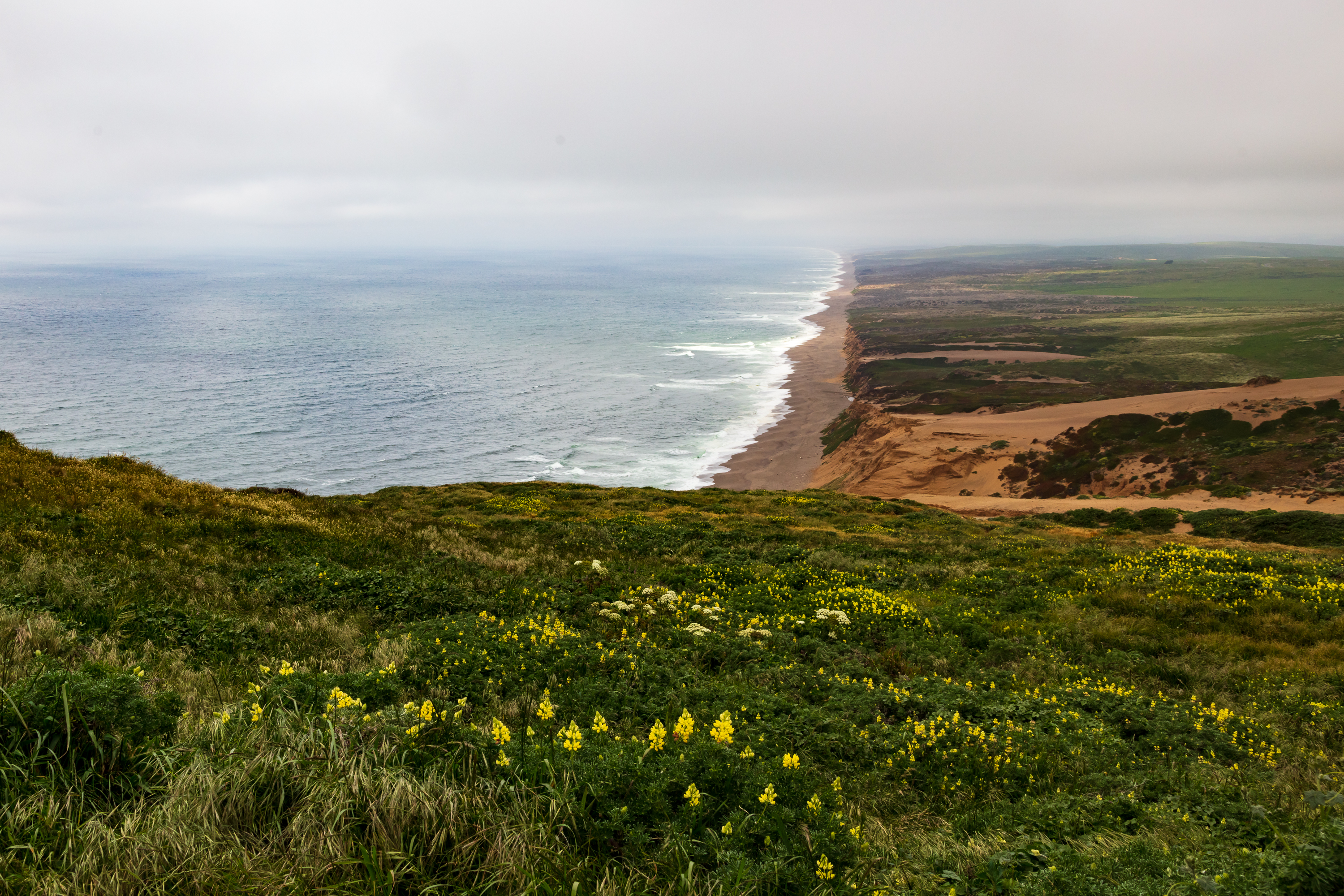 PSCC_PointReyesBeachVew2_FW_TAP33512