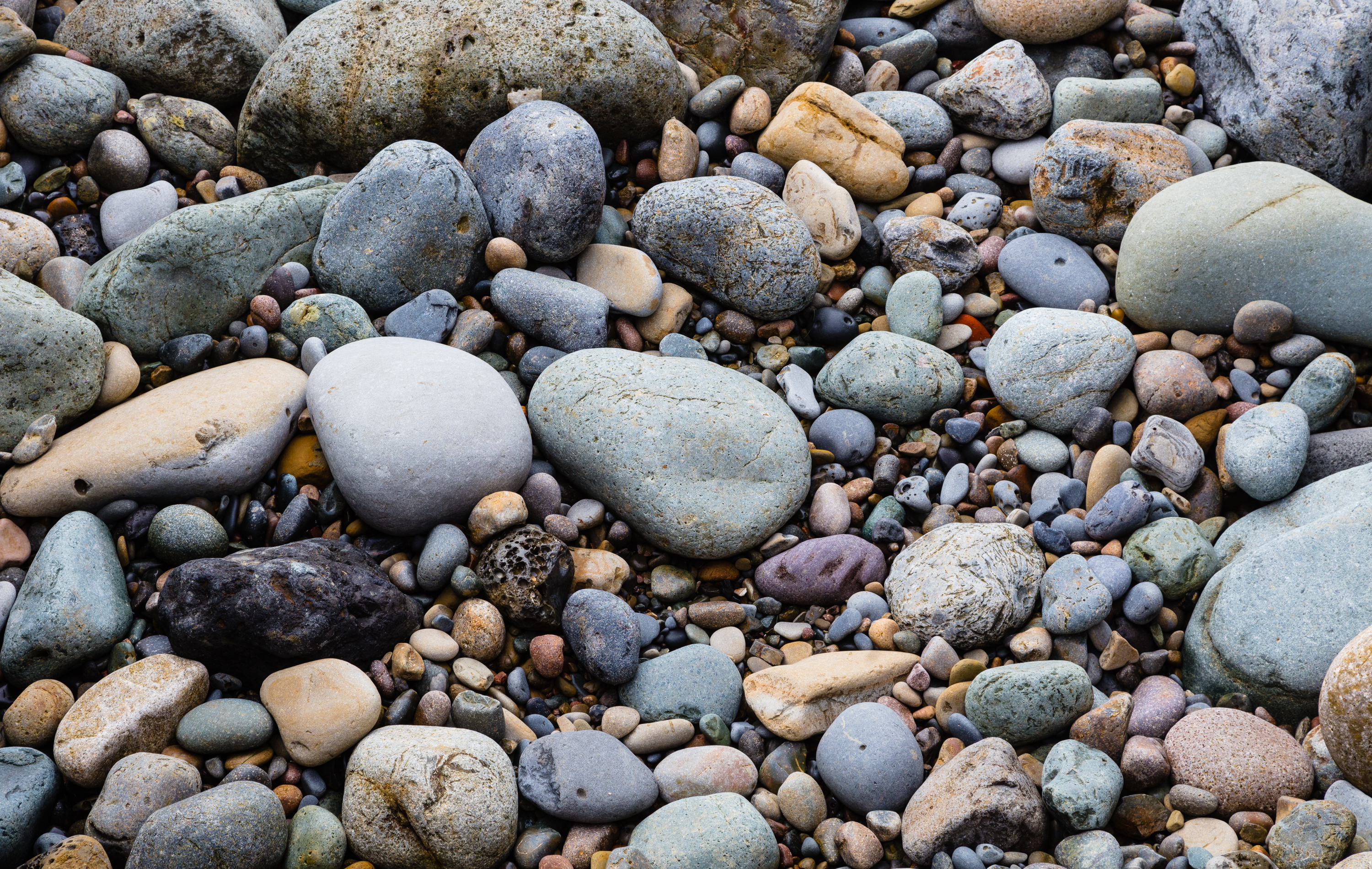 PSCC_SanDiegoBeachStones_FW_TAP20542