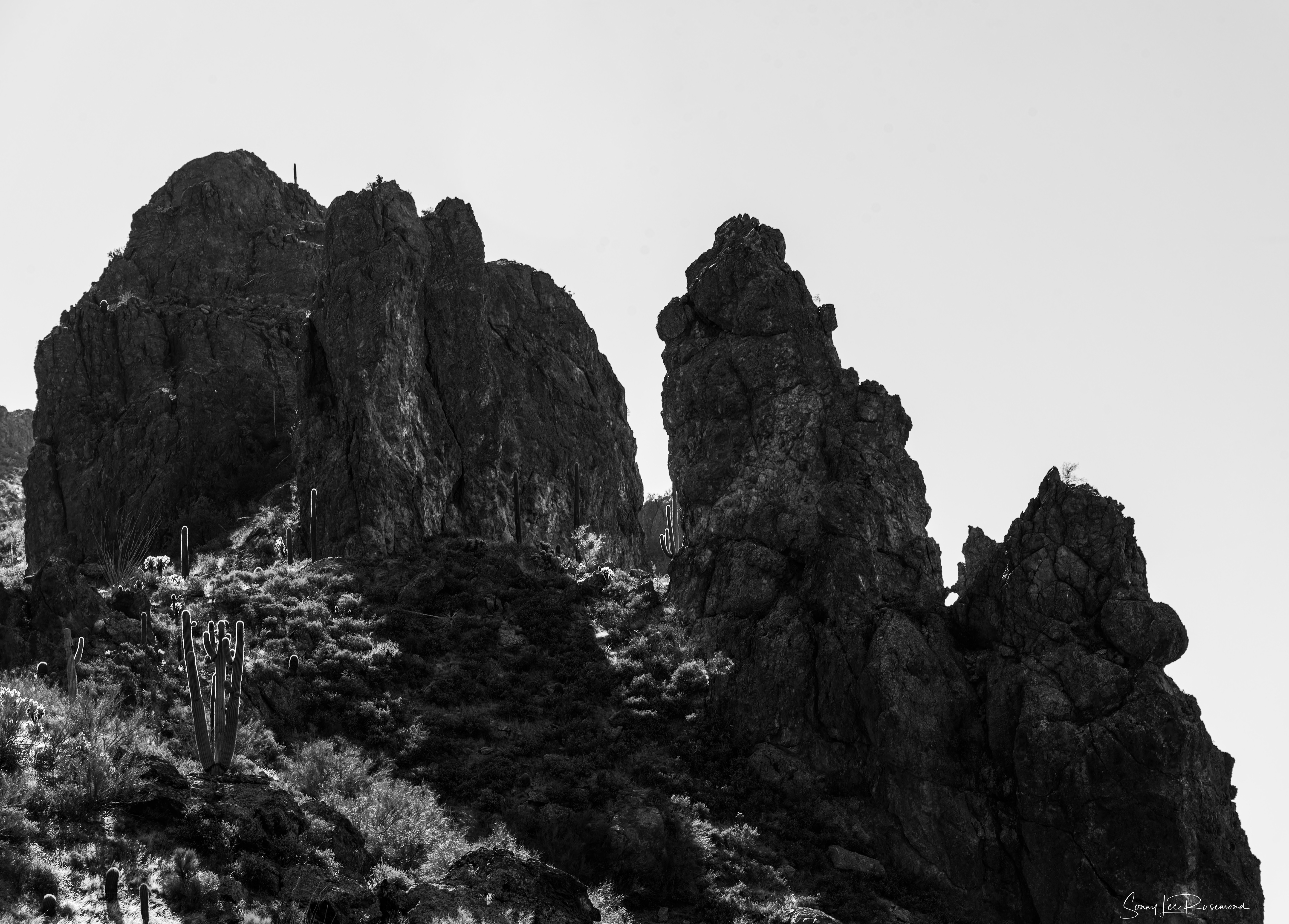 Queen Valley