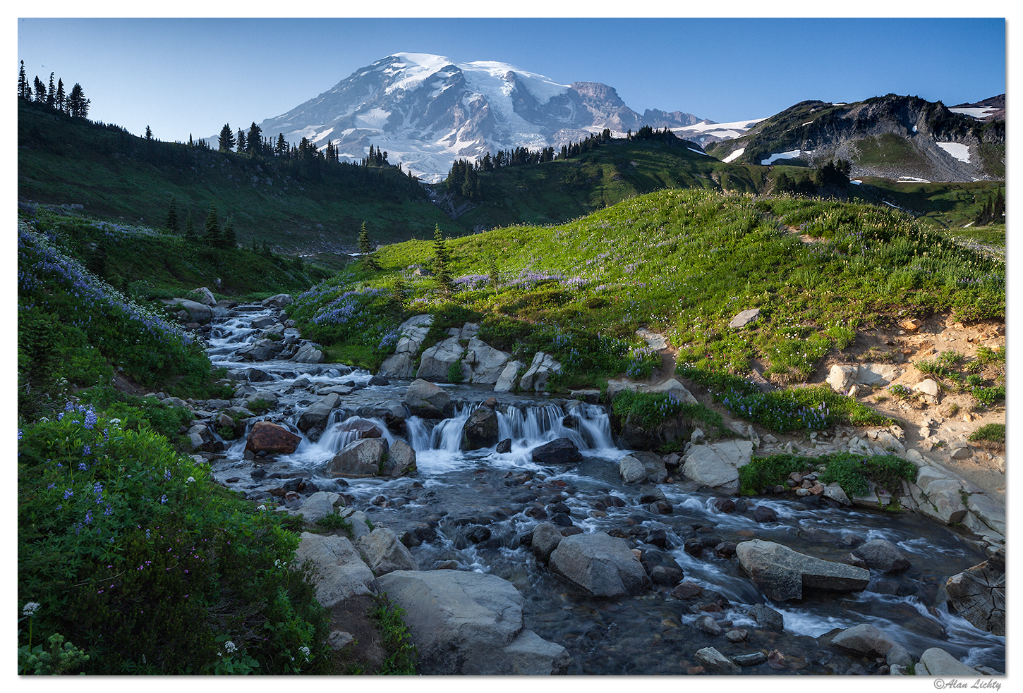 Rainier - Edith Creek Flowers
