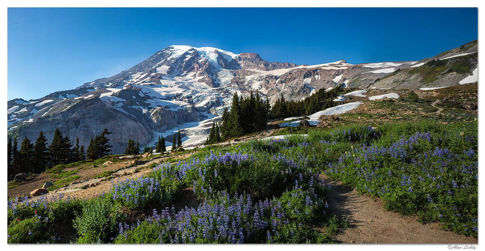 Rainier - Upper Paradise Park