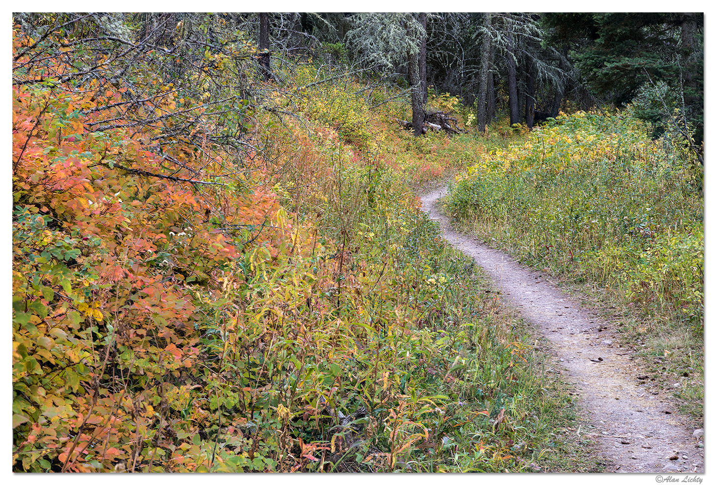Red Eagle Lake Trail
