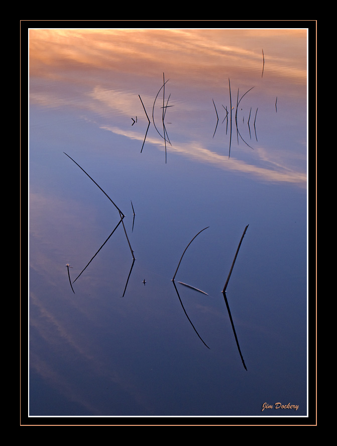 Reeds Sunset