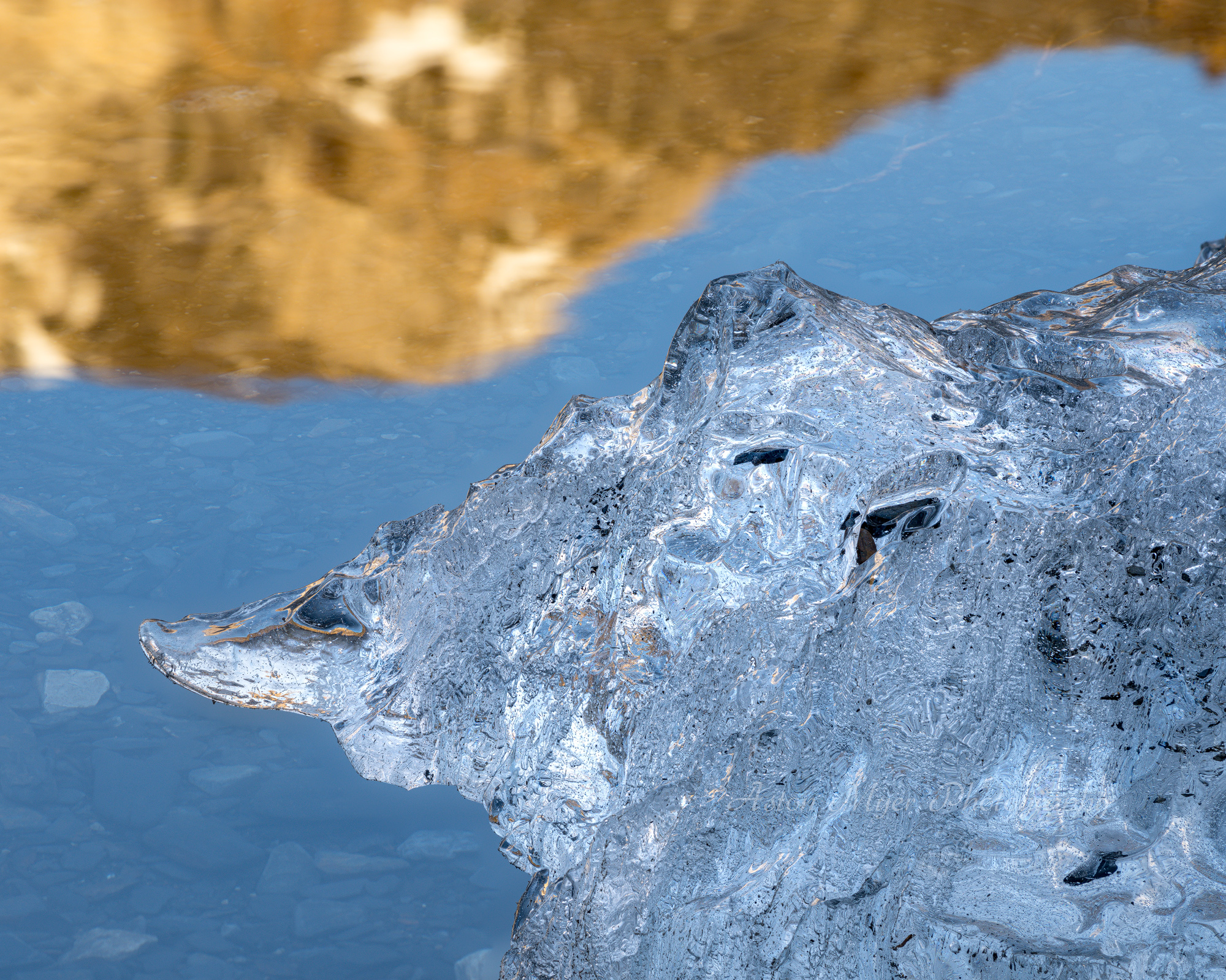 Remains of Winter.jpg
