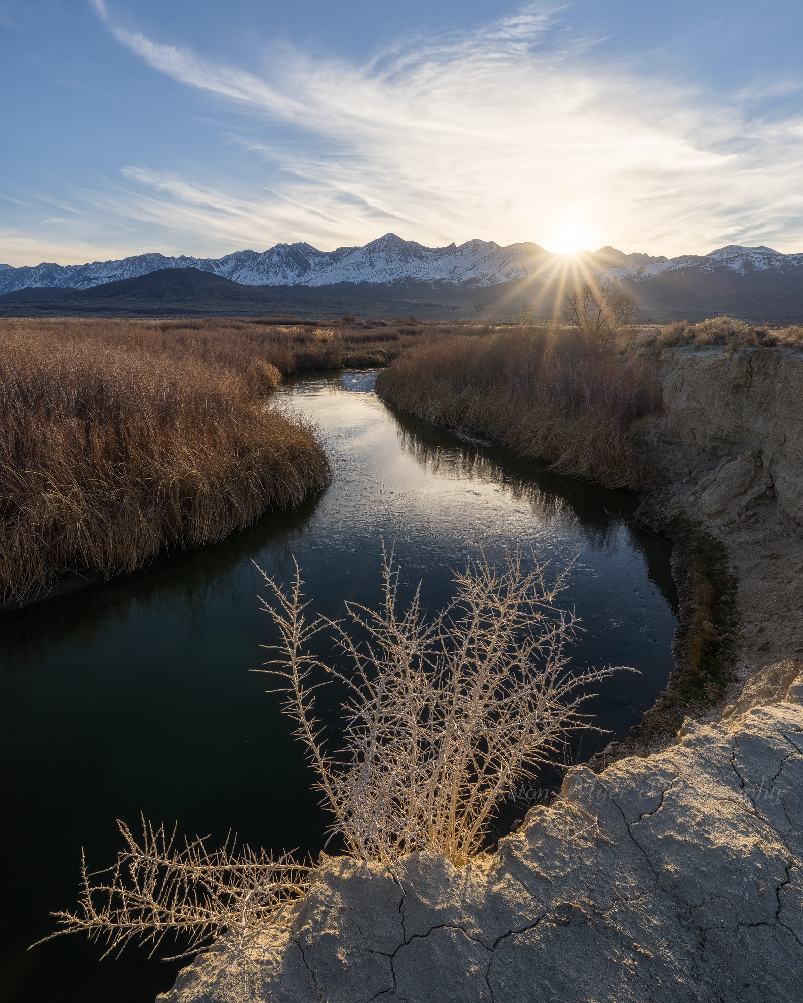 River to the Sun.jpg