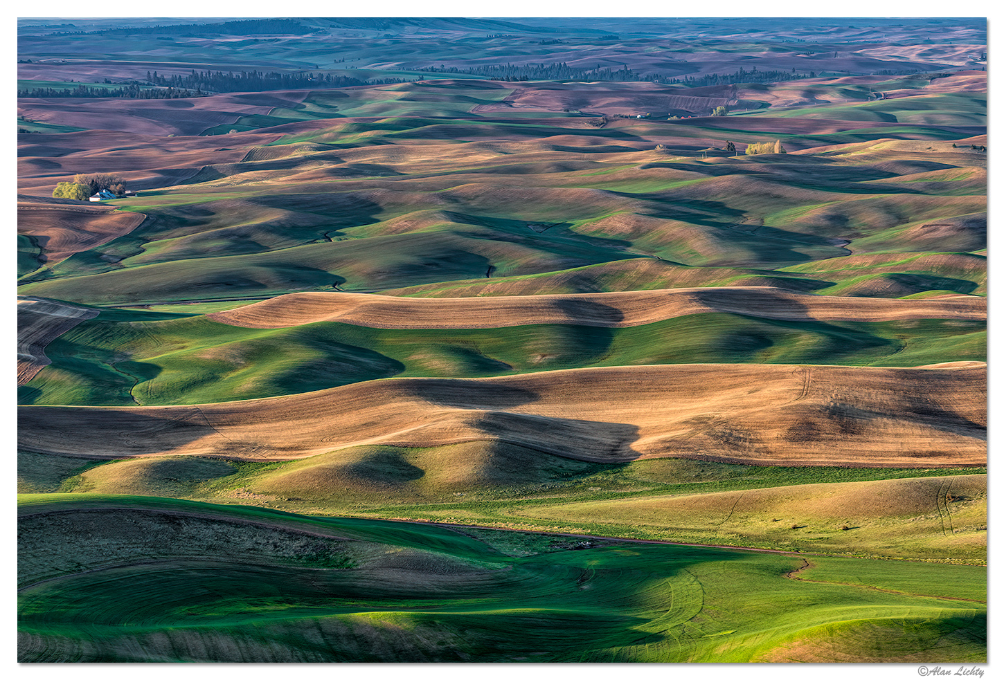 Rolling Green in the Palouse
