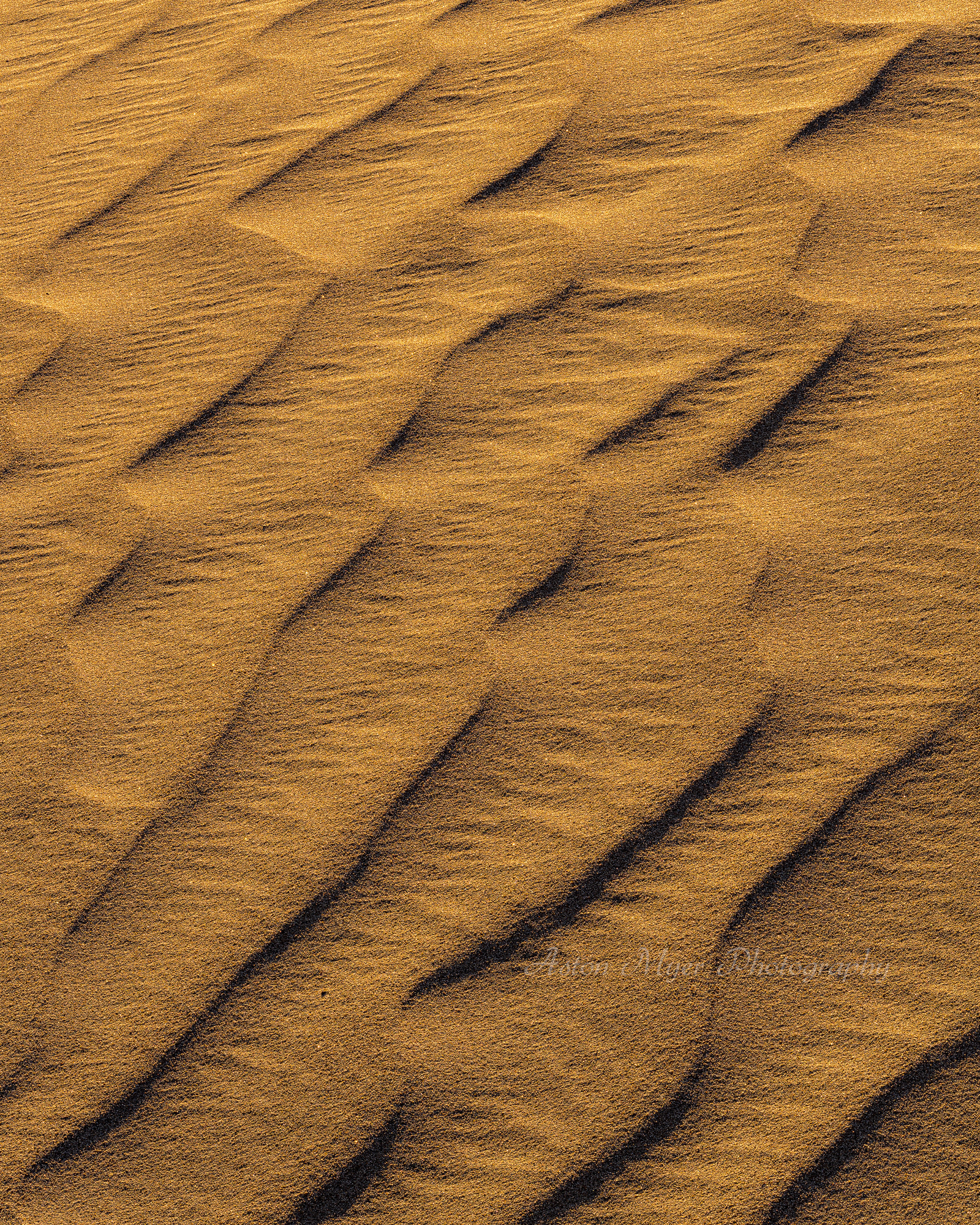 Sand Ripples.jpg