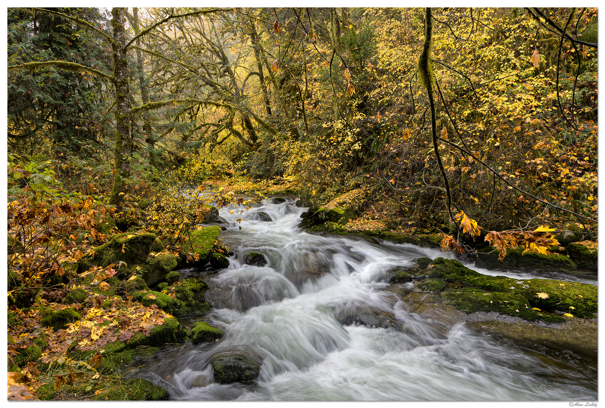 SC-MiddleArea110323-2.jpg