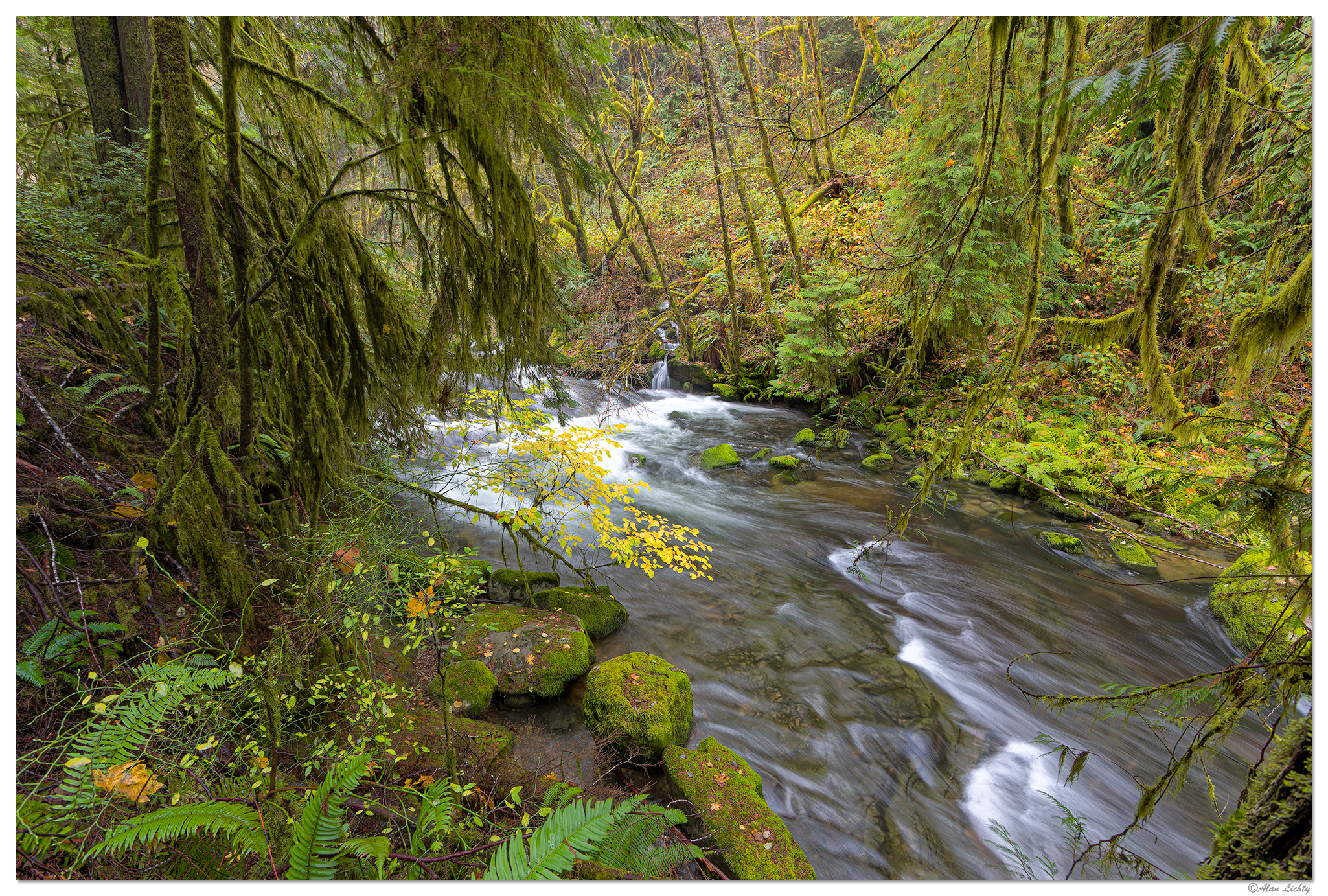 SC-SmoothWater110823.jpg