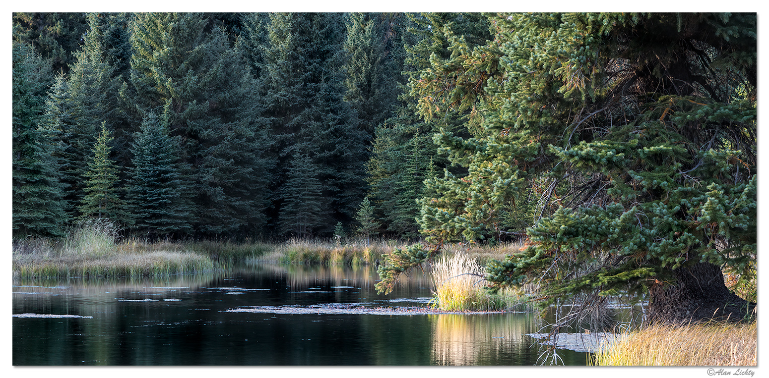 Schwabacher Landing