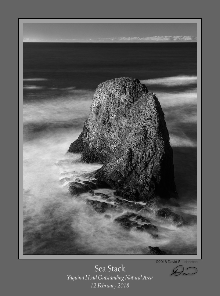 Sea Stack Yaquina Head BW