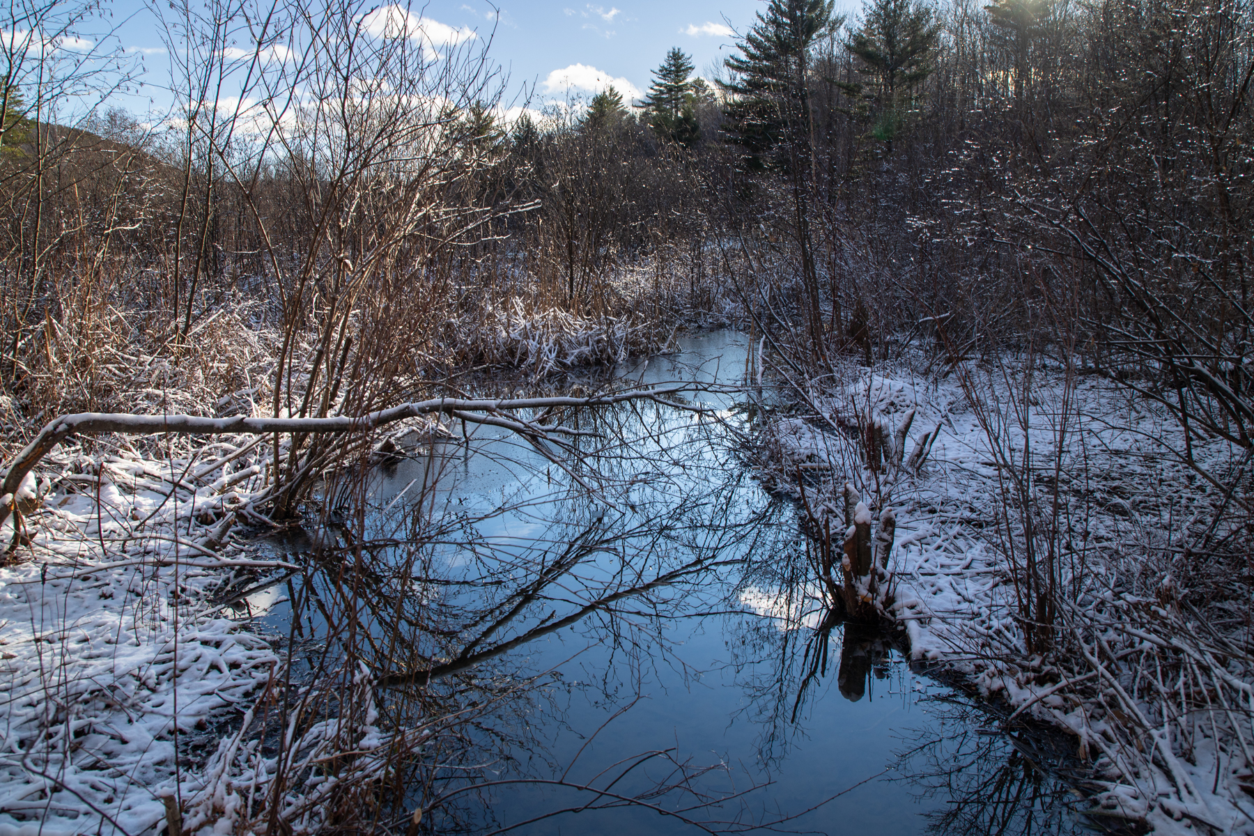 Serene Winter Stream