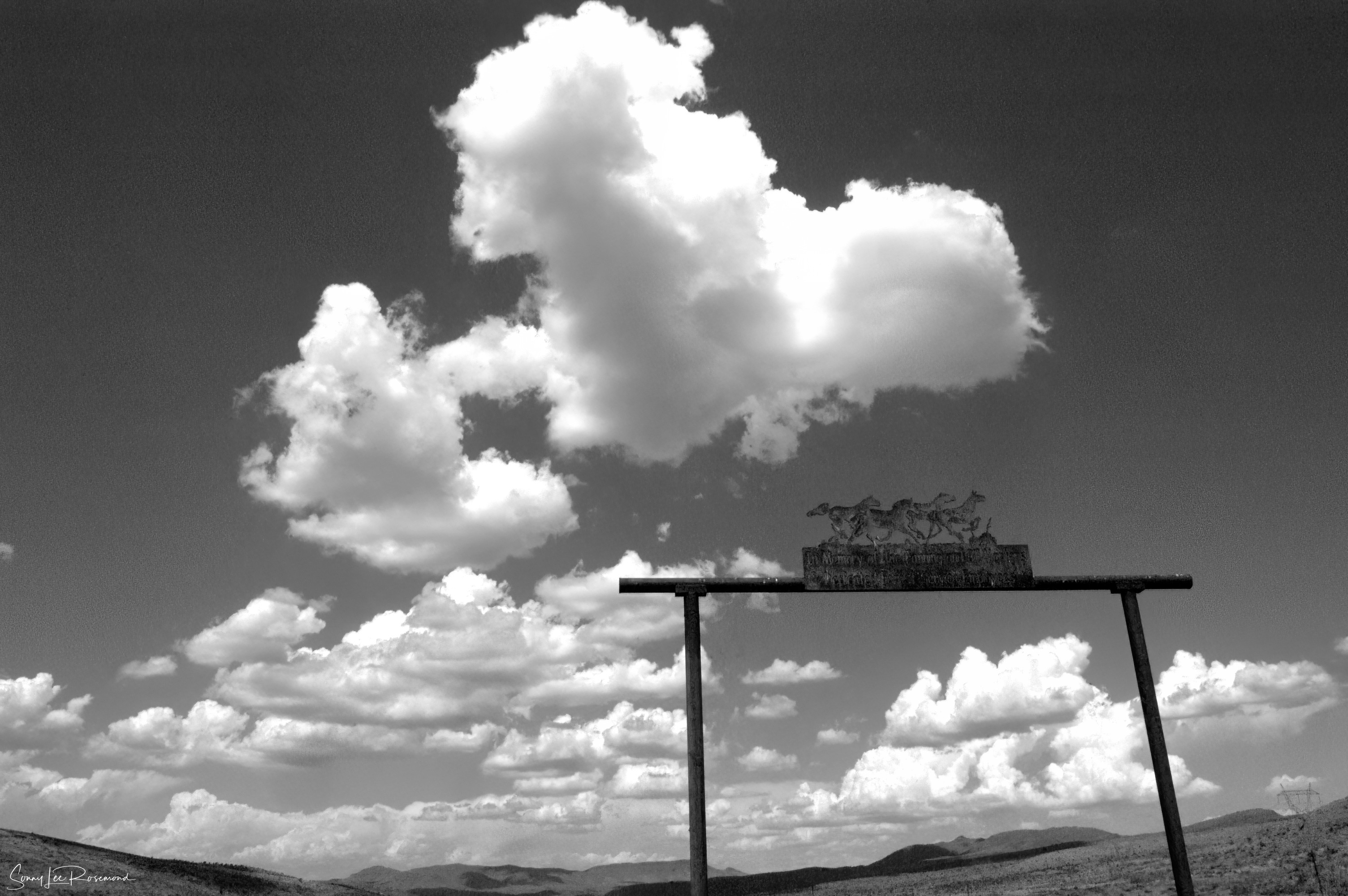 seven_springs_corral_bw