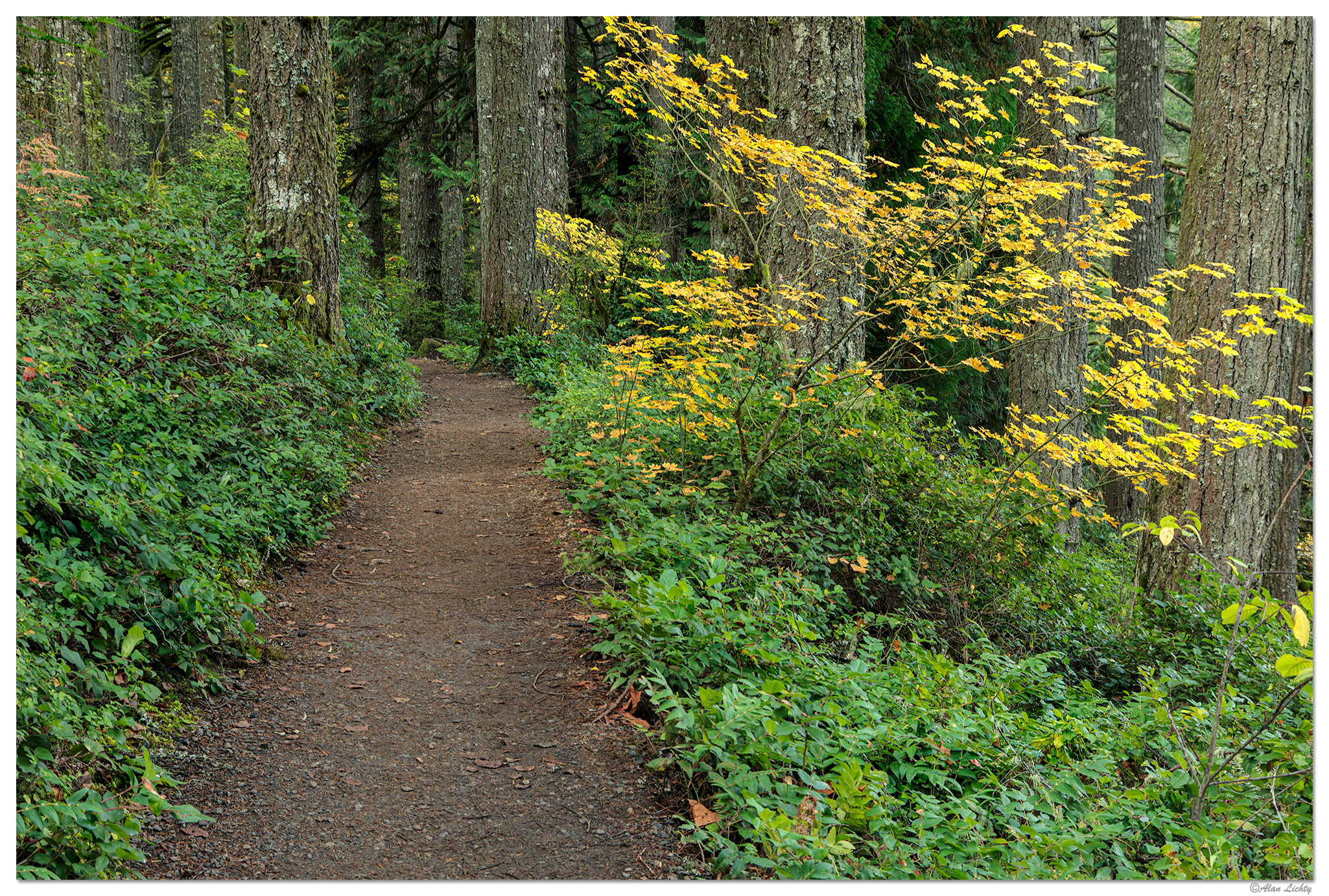 SFSP-RimTrail102120.jpg