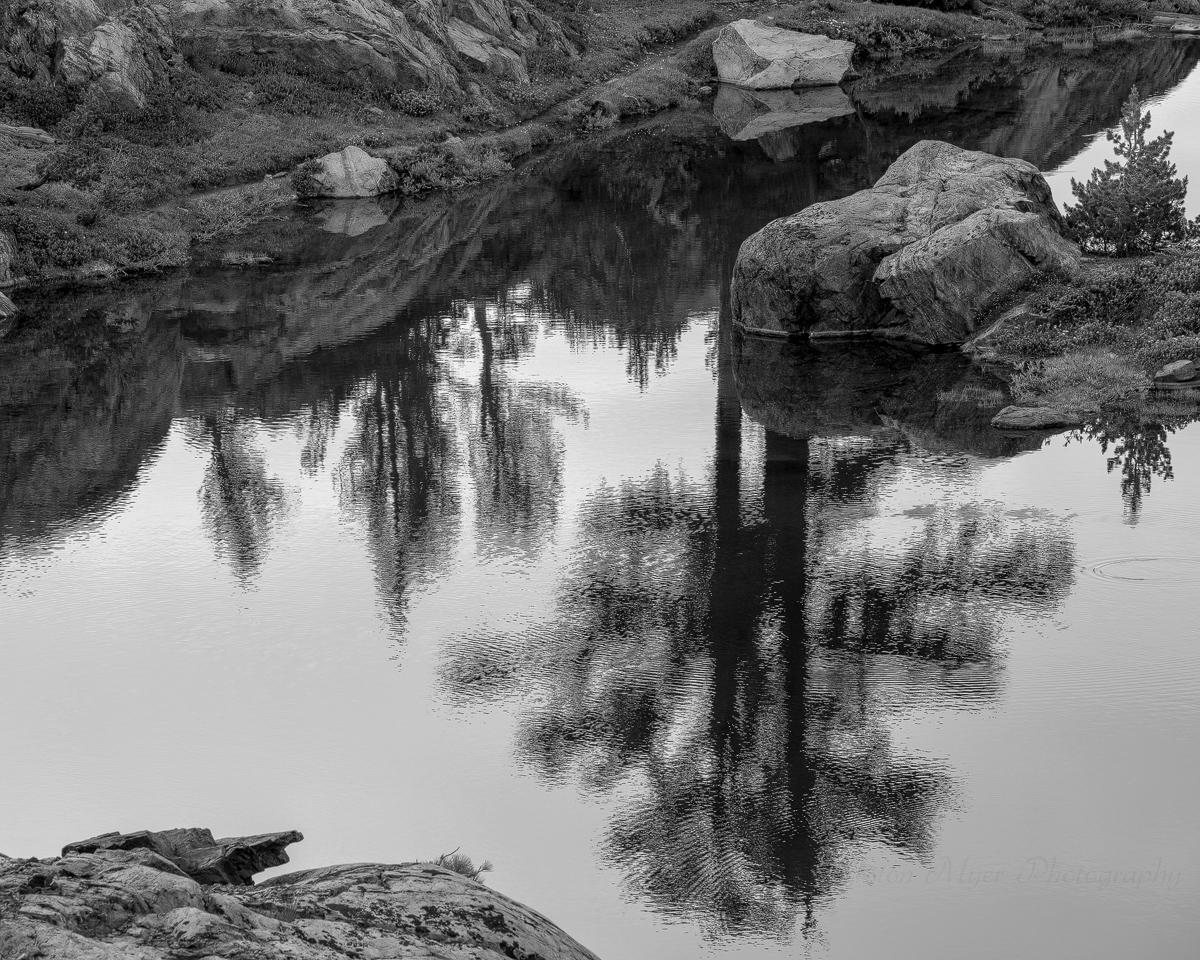 Shadows On The Lake