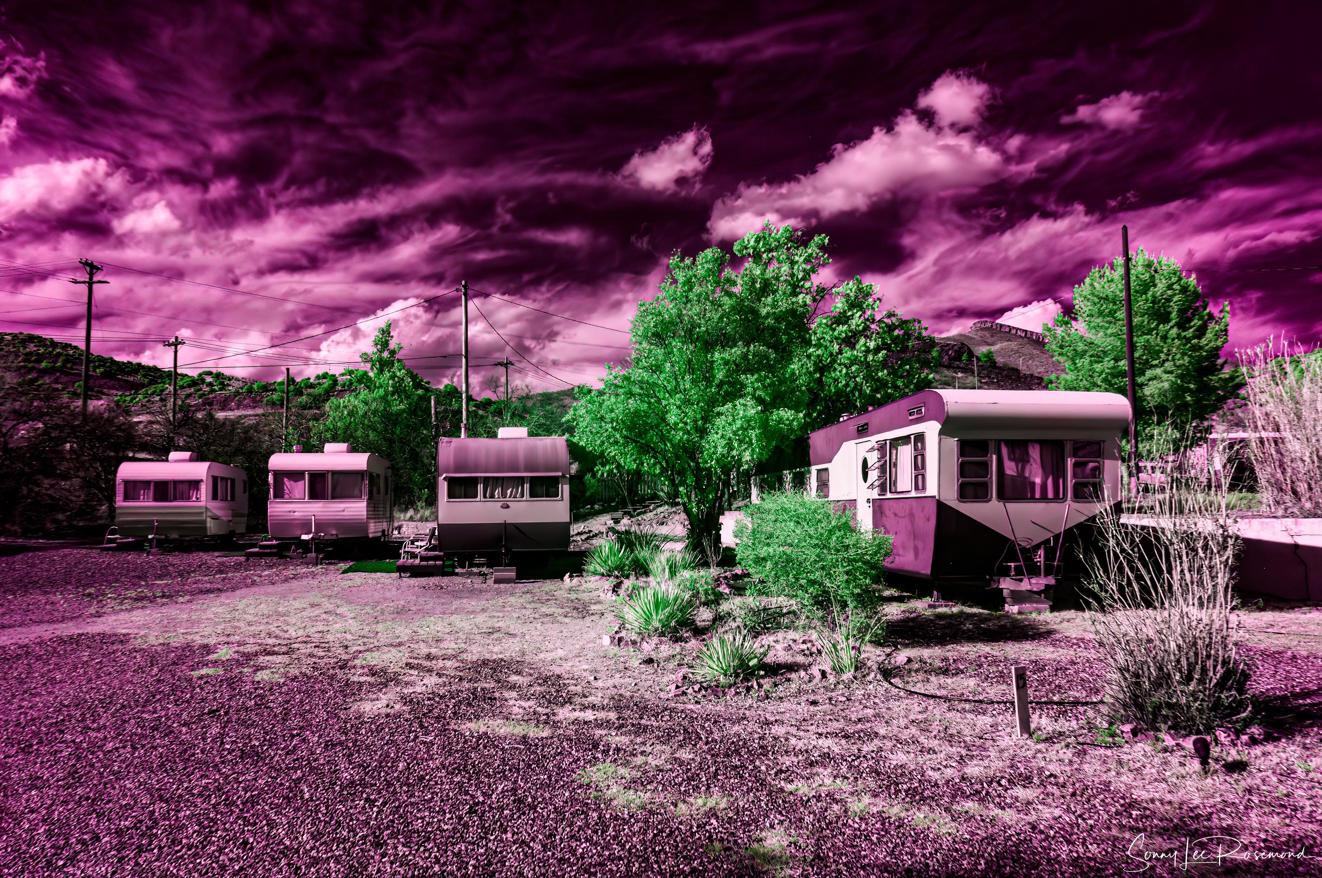 shady_dell_032023-2