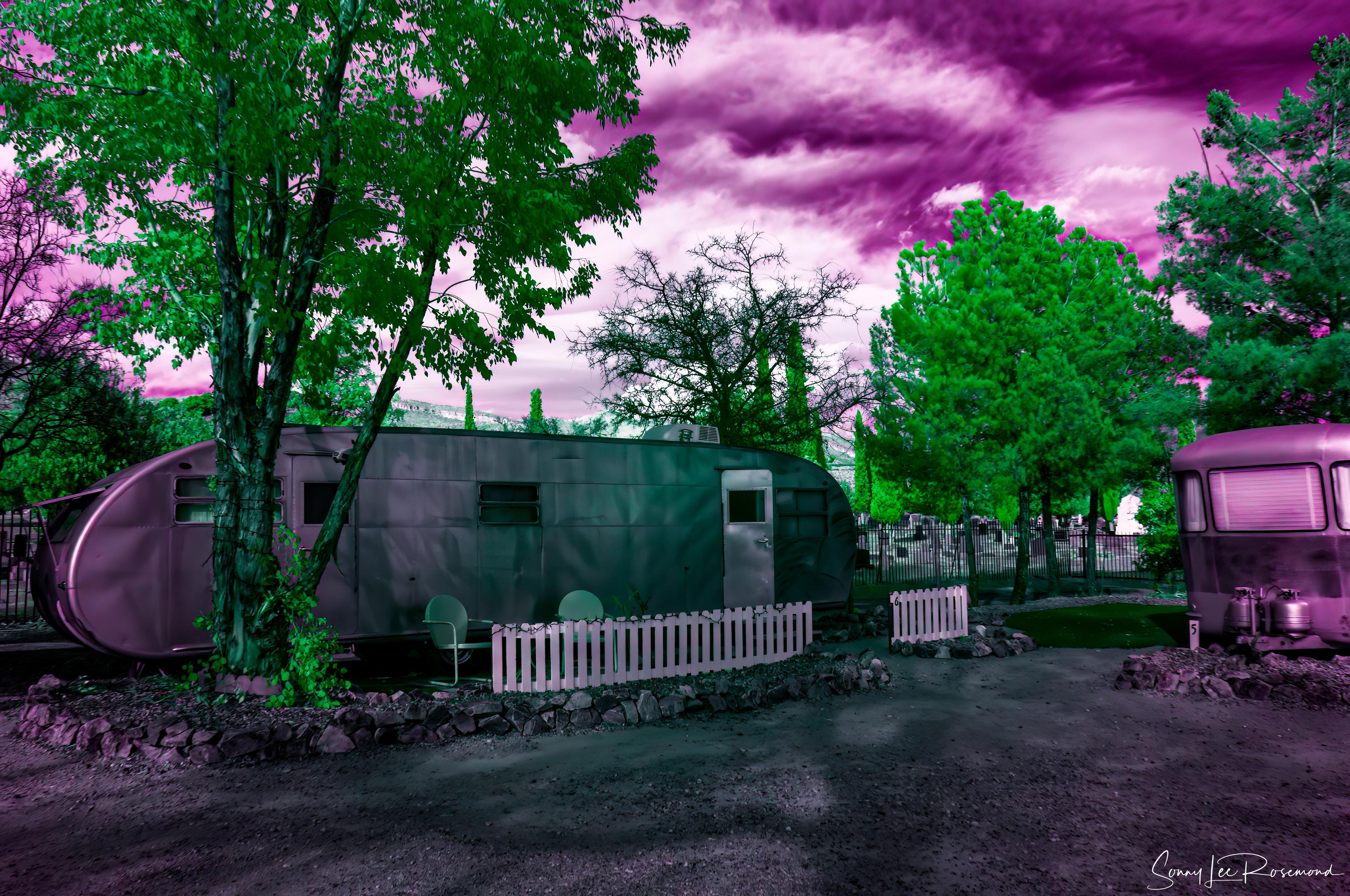 shady_dell_032023-4