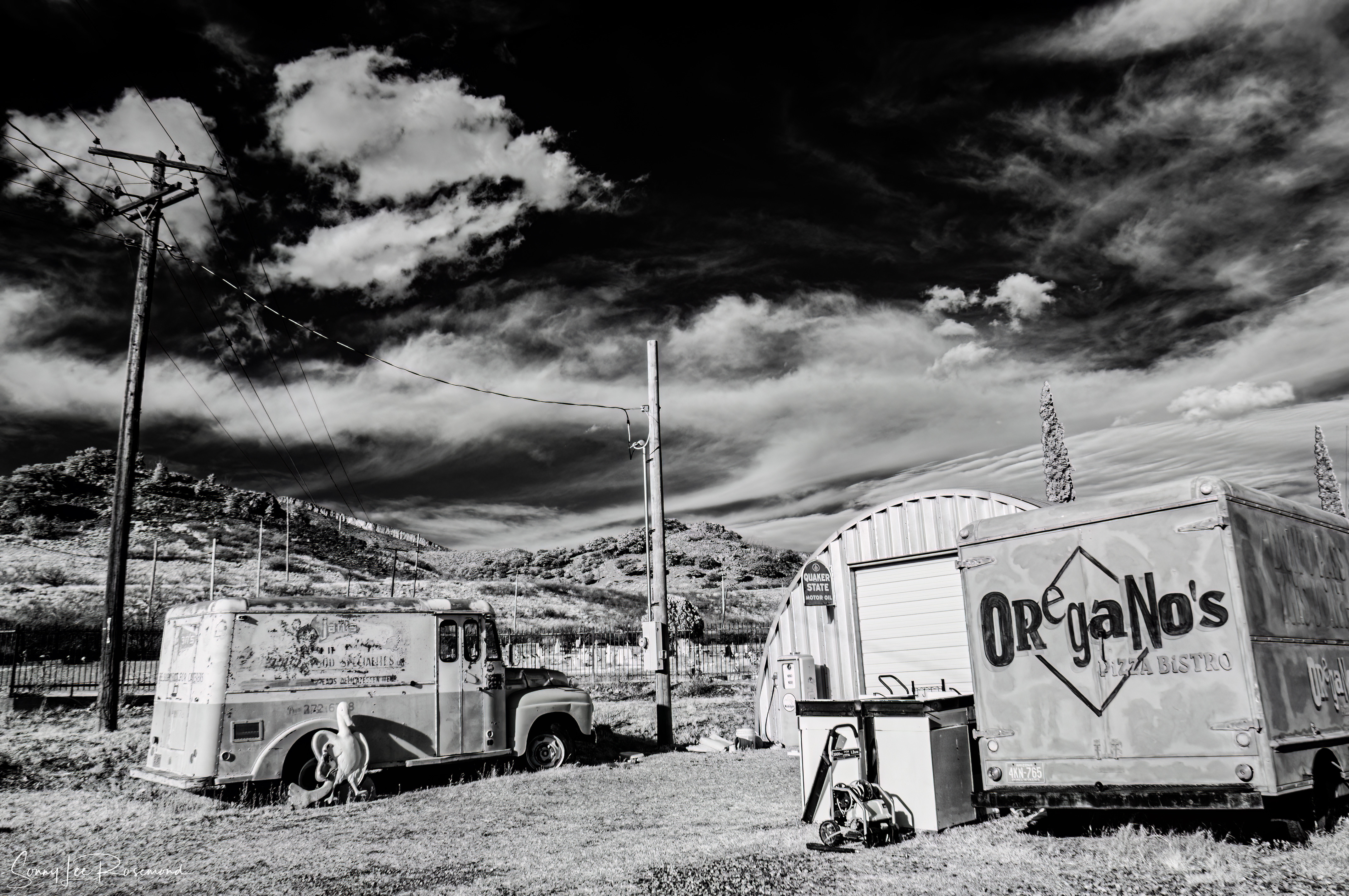 shady_dell_032023-bw