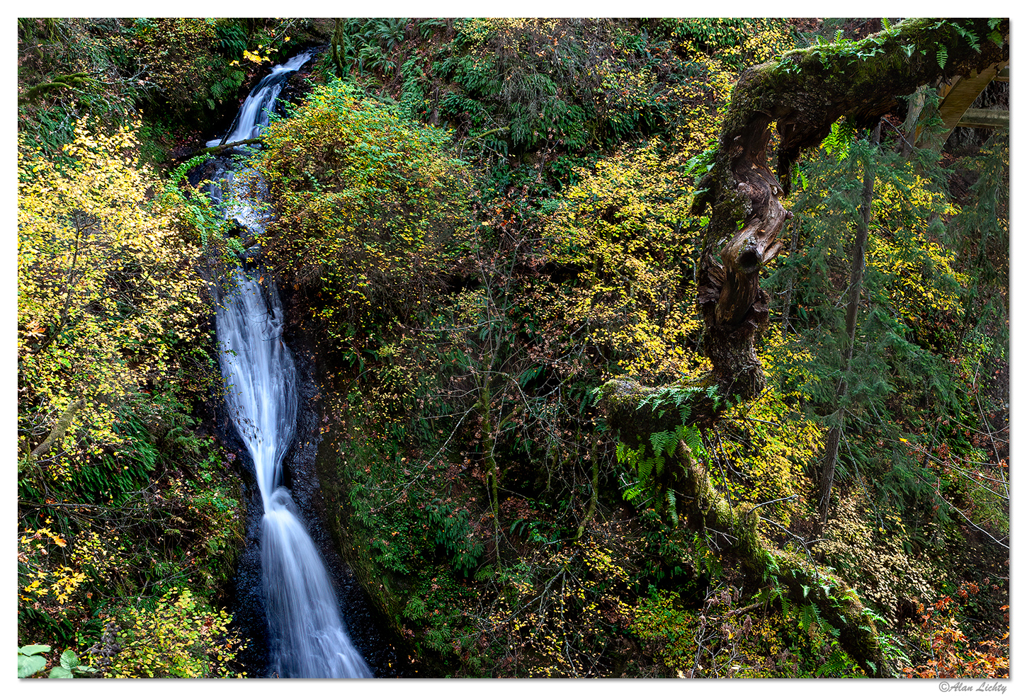 Shepperds Dell Fall07