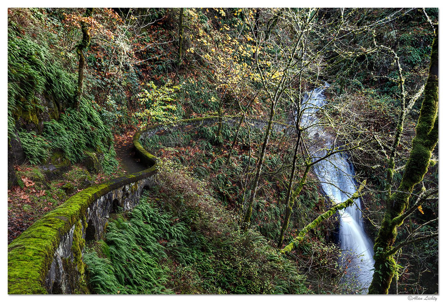 Shepperds Dell Fall10