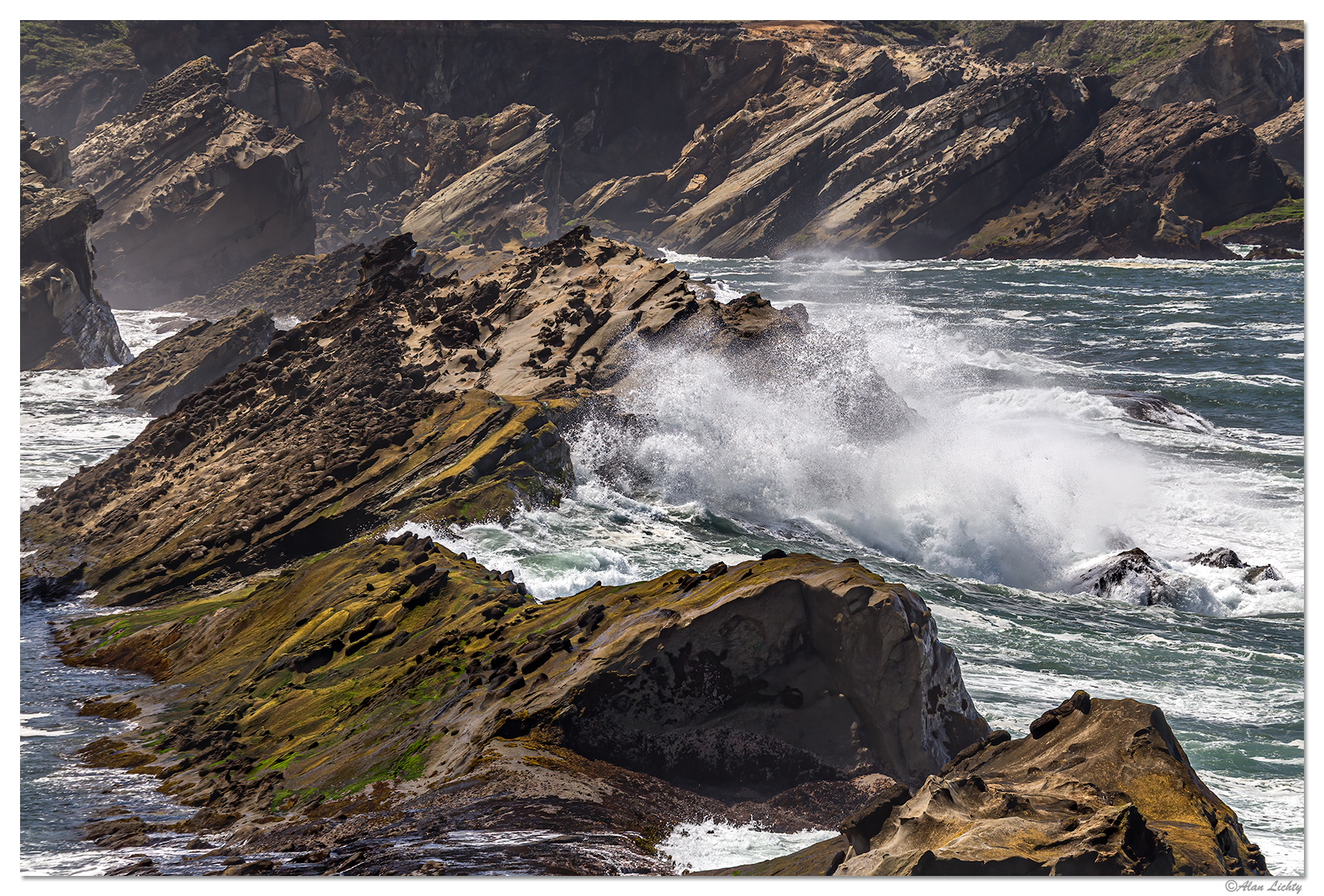 Shore Acres Wave