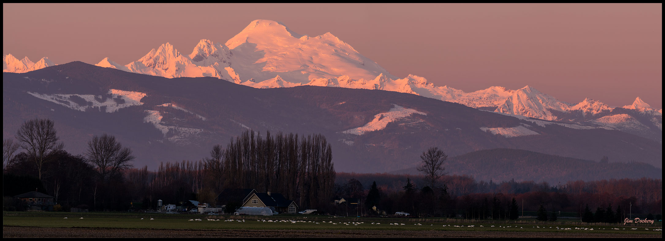 Skagit-Birds-3.10.18-(243)-Pano1