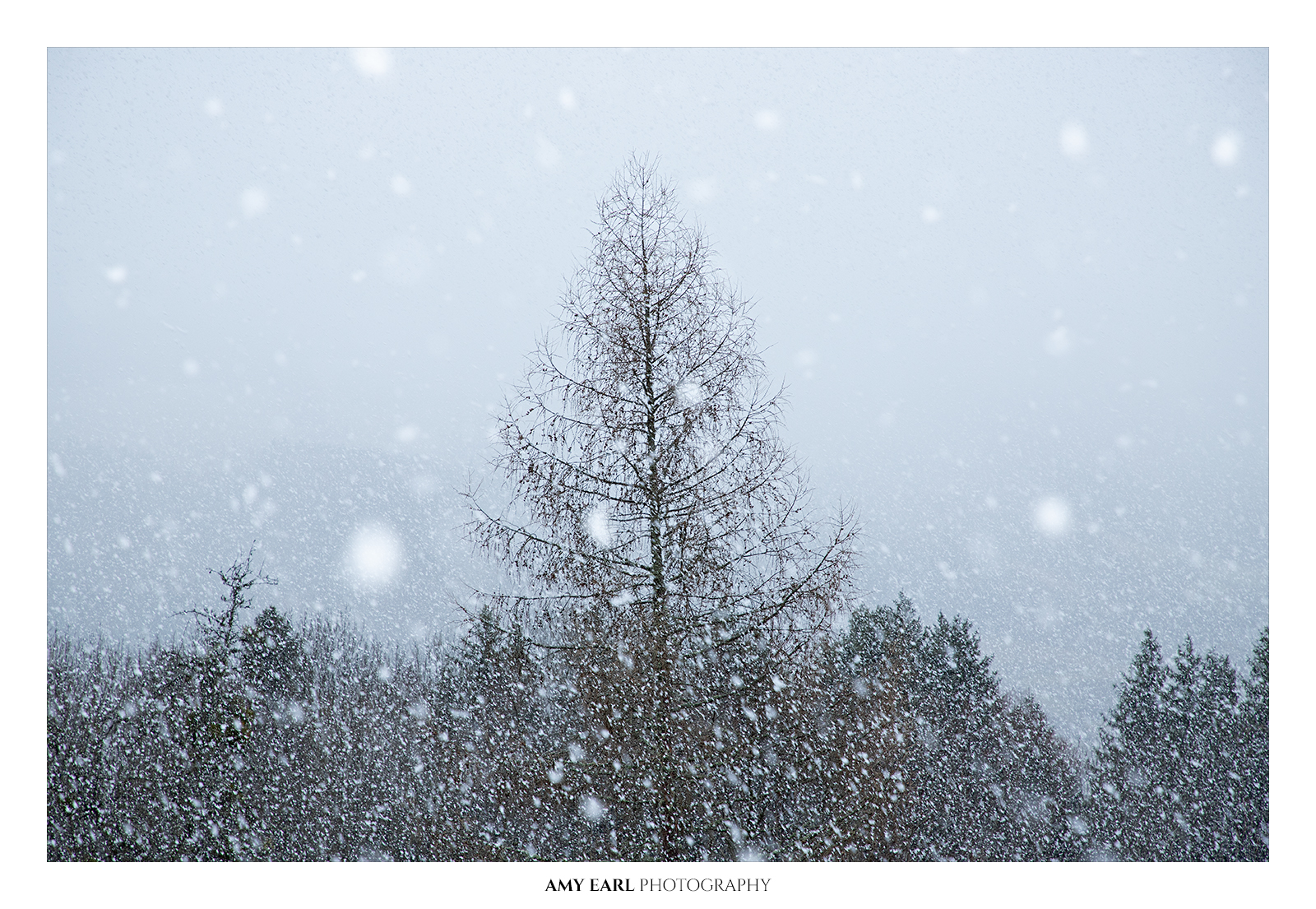 Snowfall
