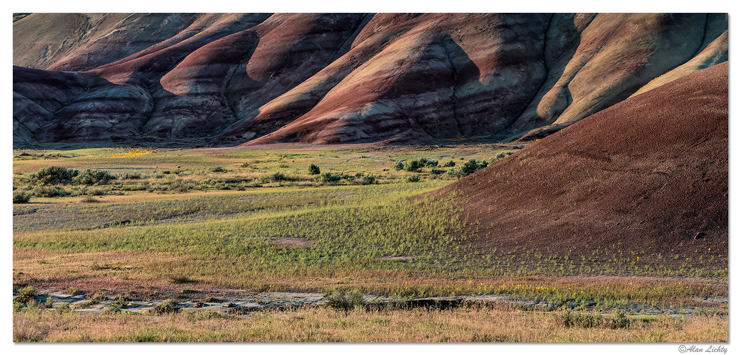 Springtime in the Painted Hills