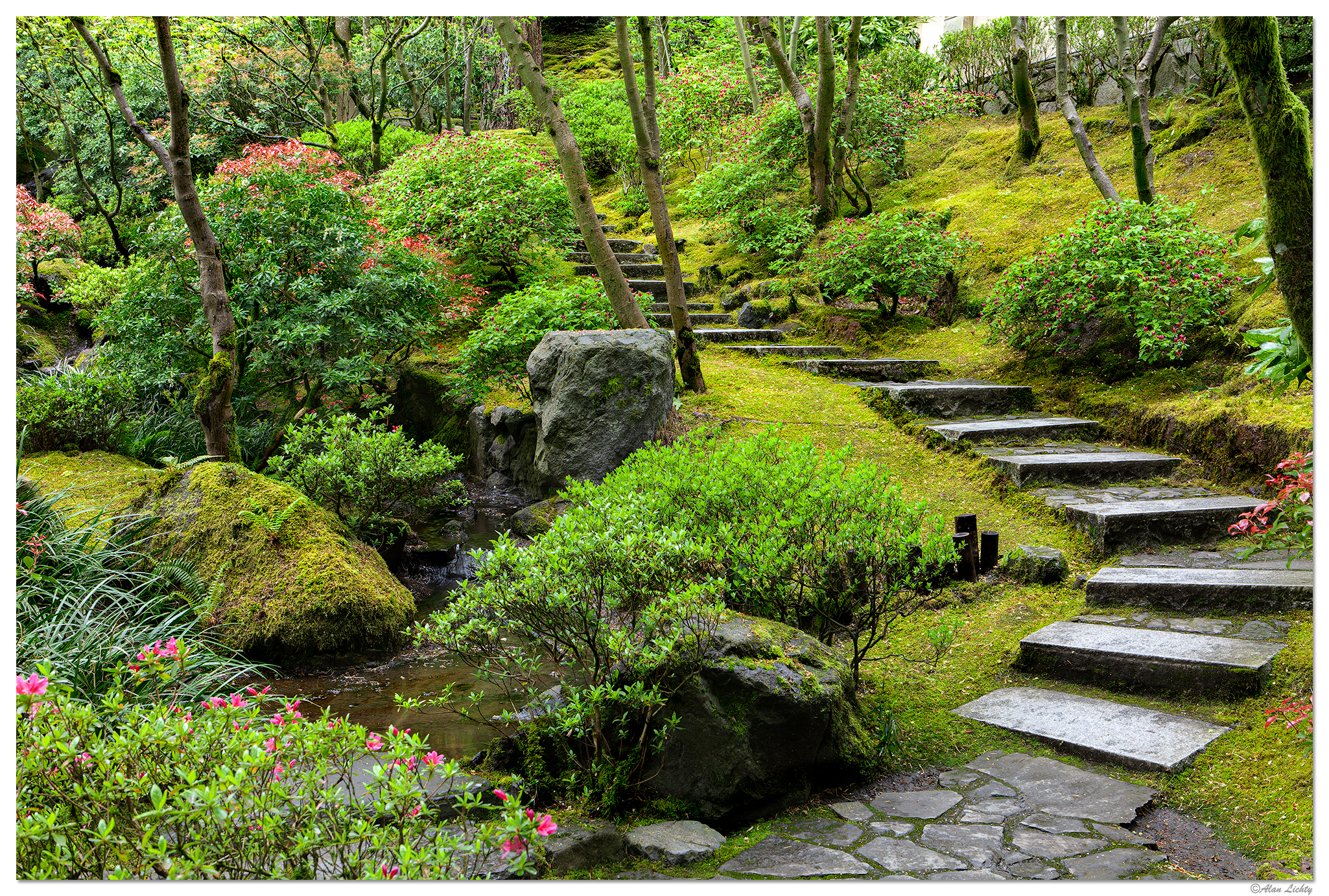 Stairs From the Natural Garden