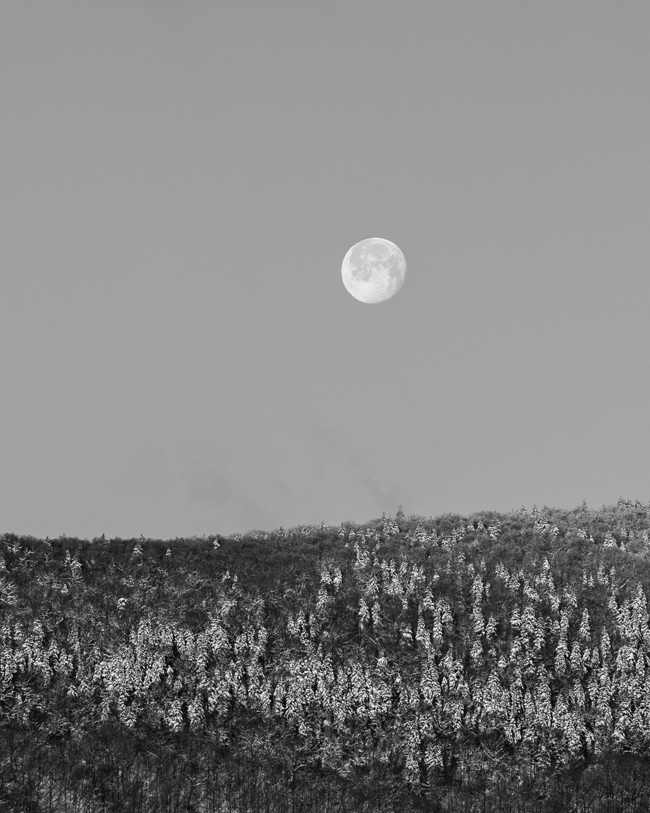 Stark Moonset