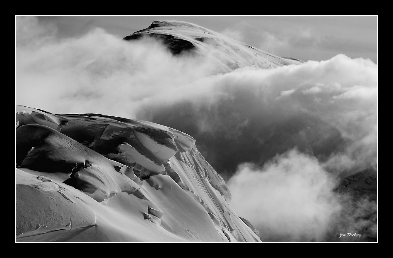 StormyForaker-bw