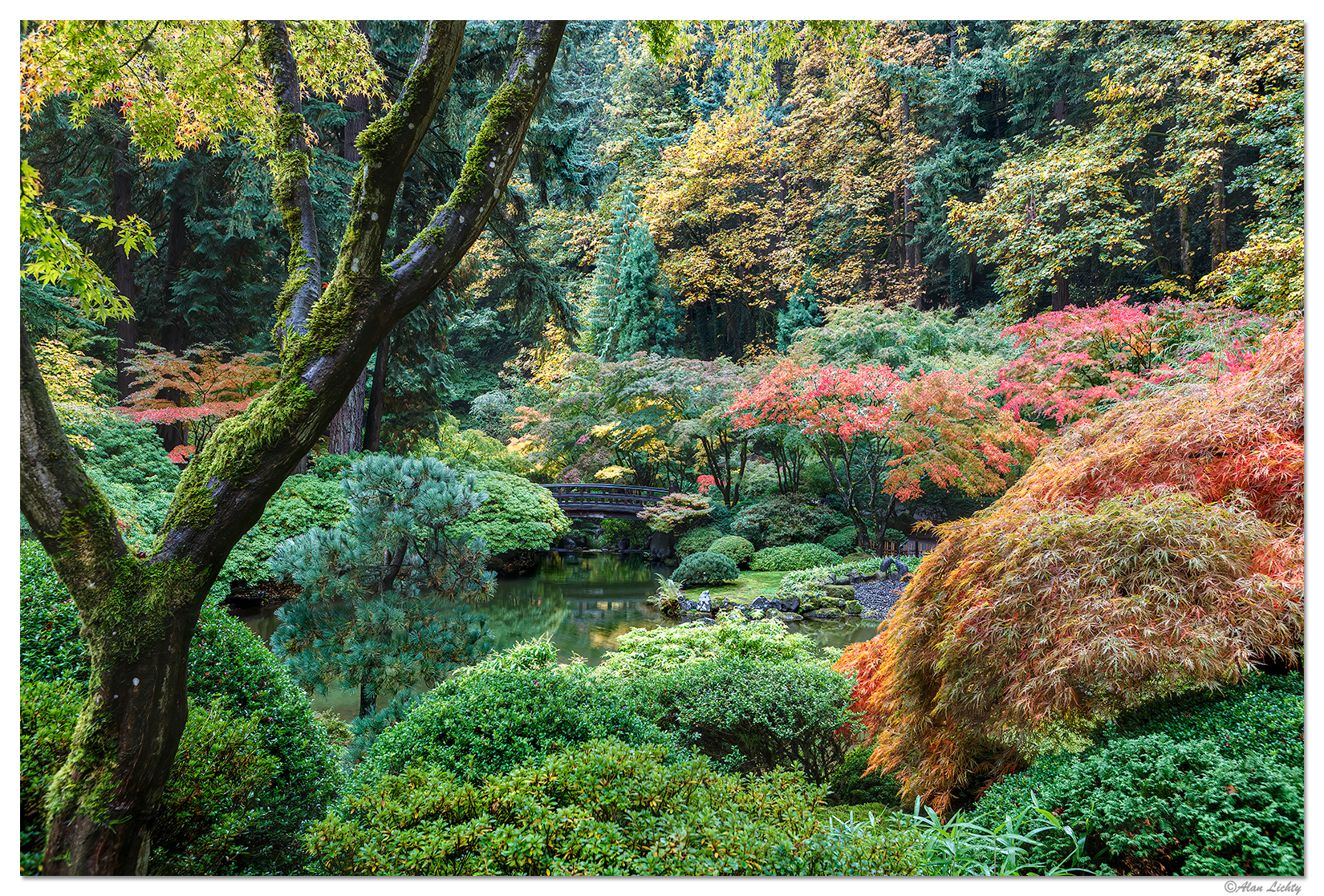 Strolling Pond in Early Fall
