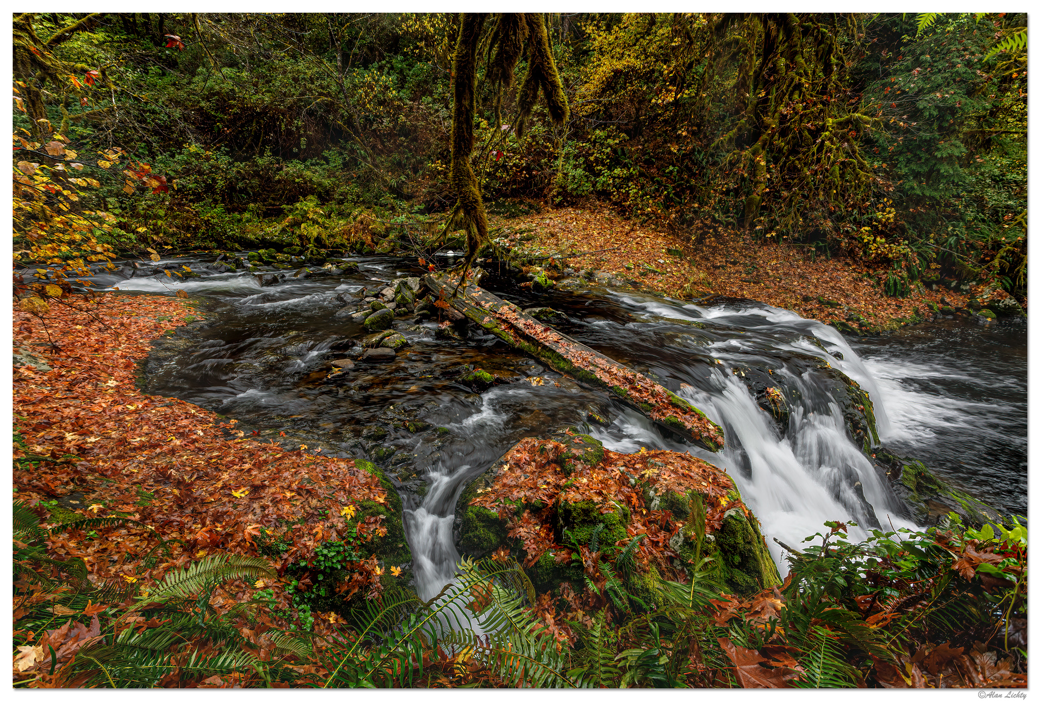 Sweet Creek 1st Falls