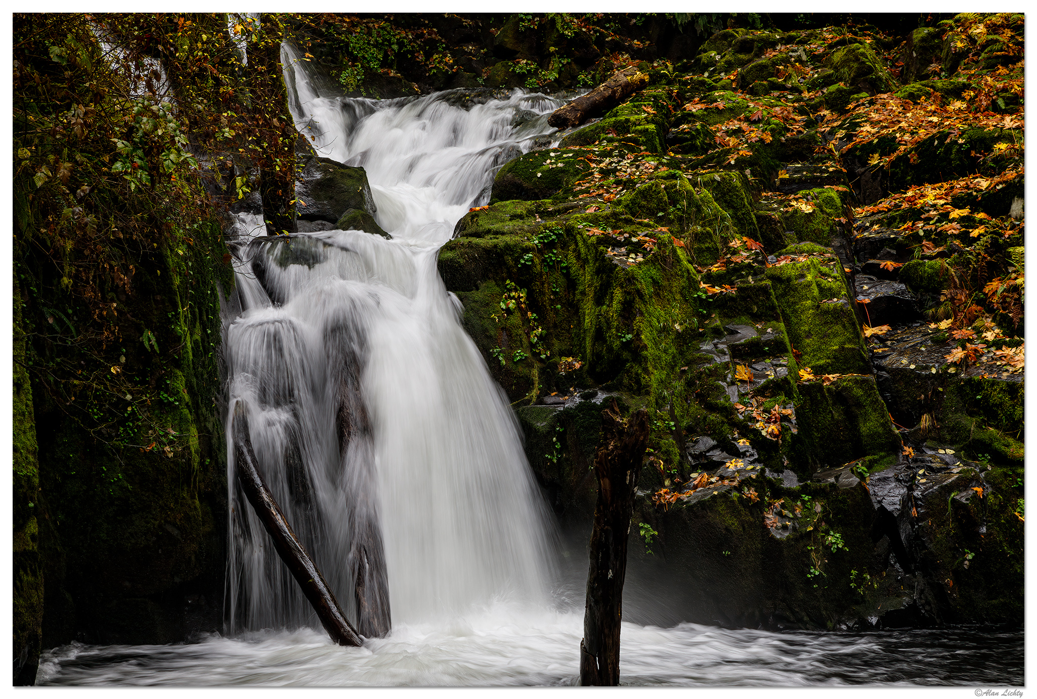 Sweet Creek Falls
