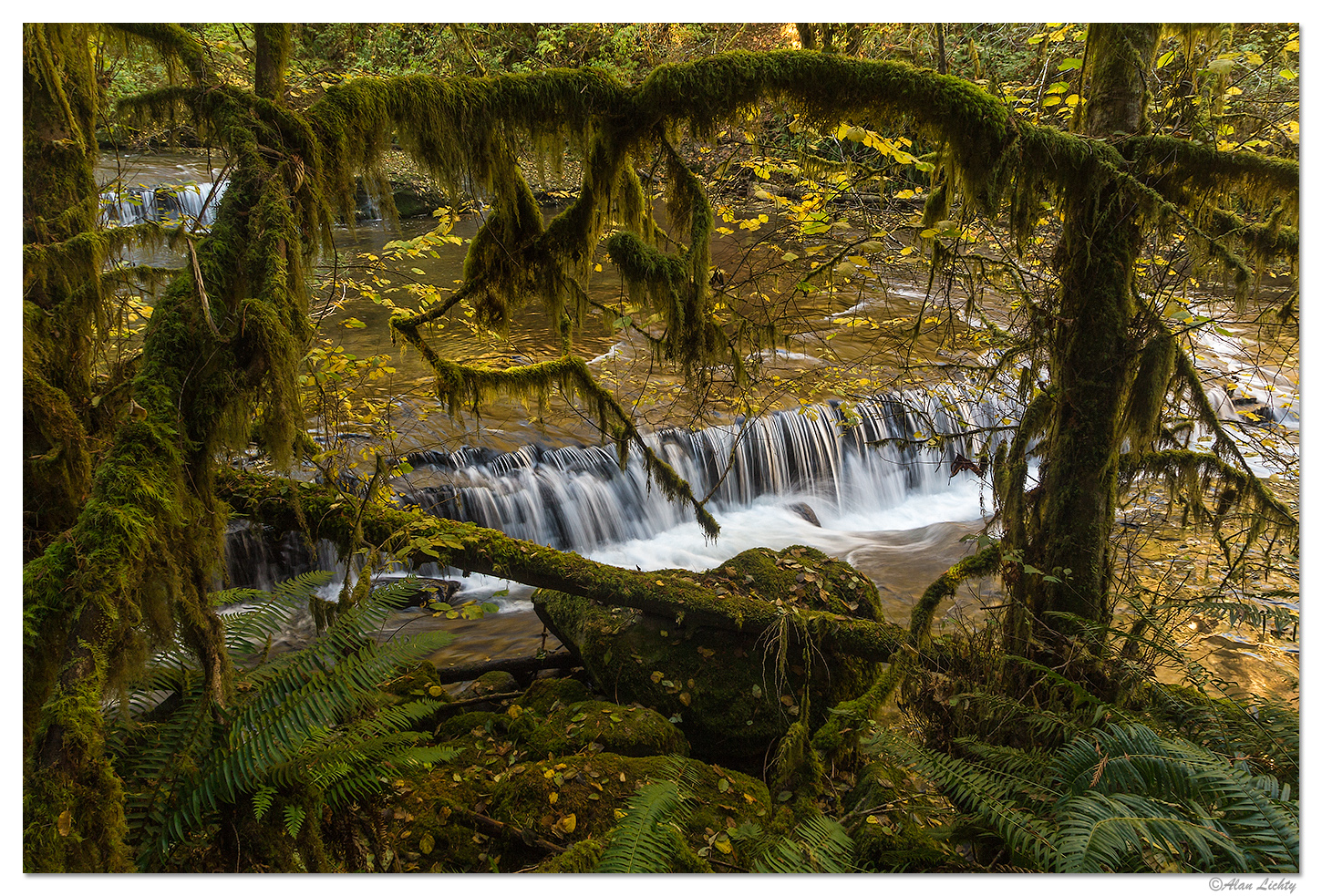 Sweet Creek Framed Falls