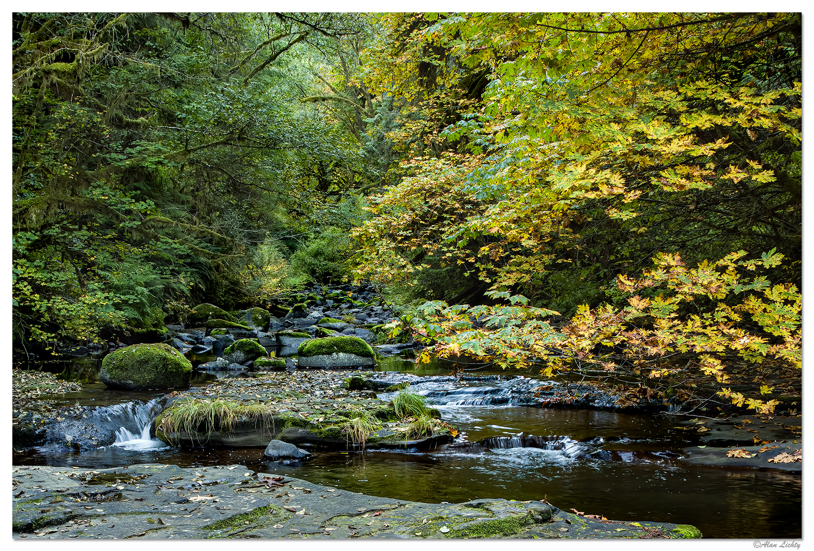 Sweet Creek - Low Water Fall