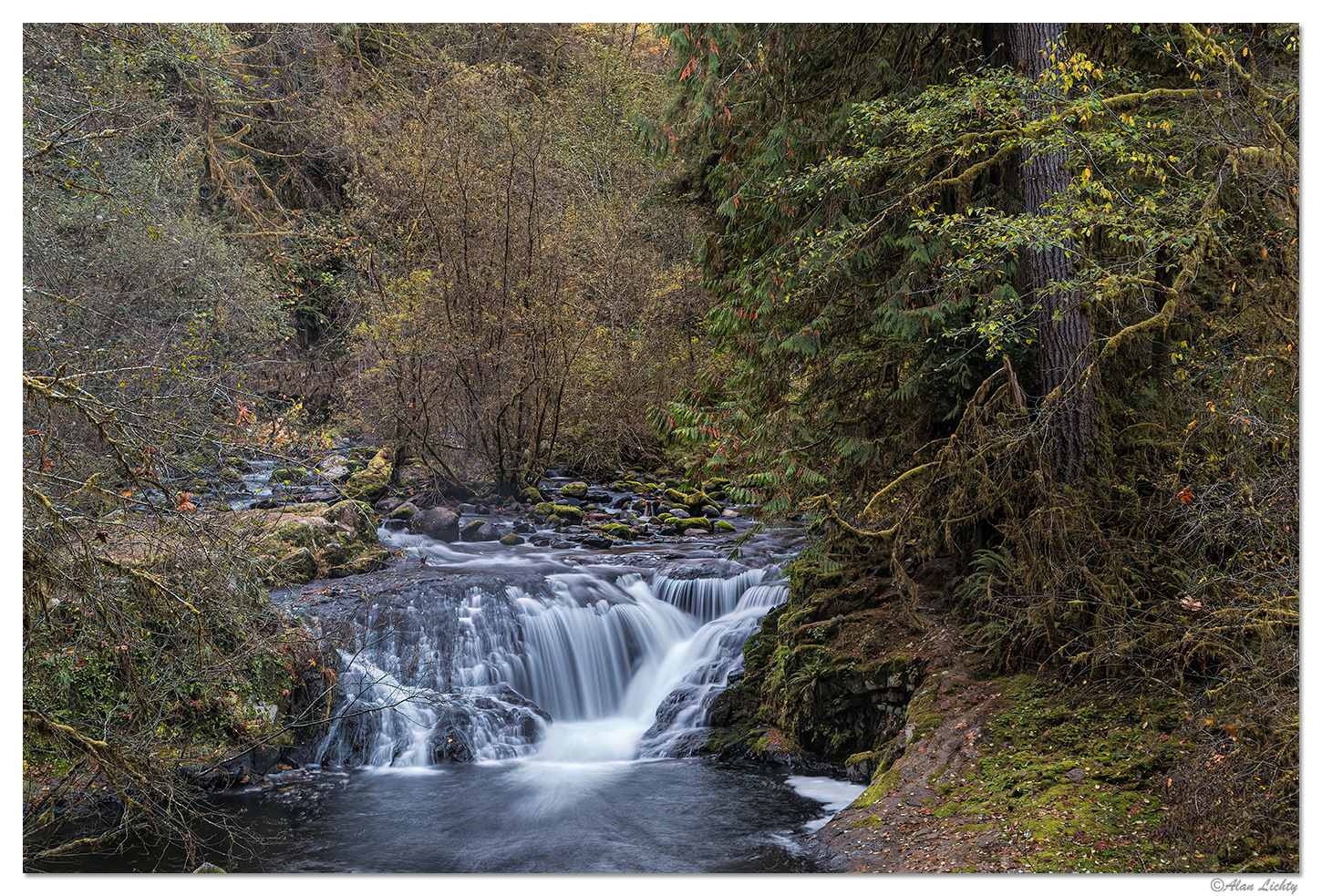 Sweet Creek - Lower Falls