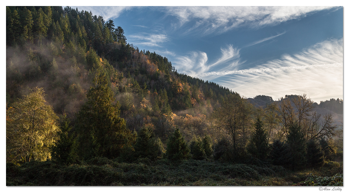Sweet Creek Morning Mist