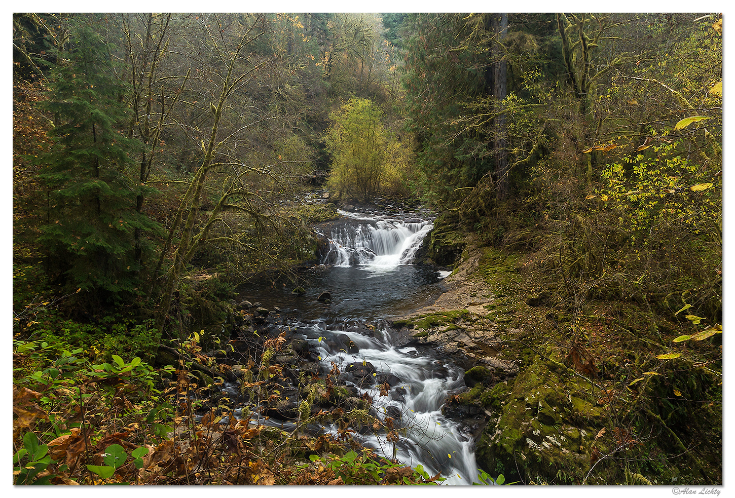 Sweet Creek Trail
