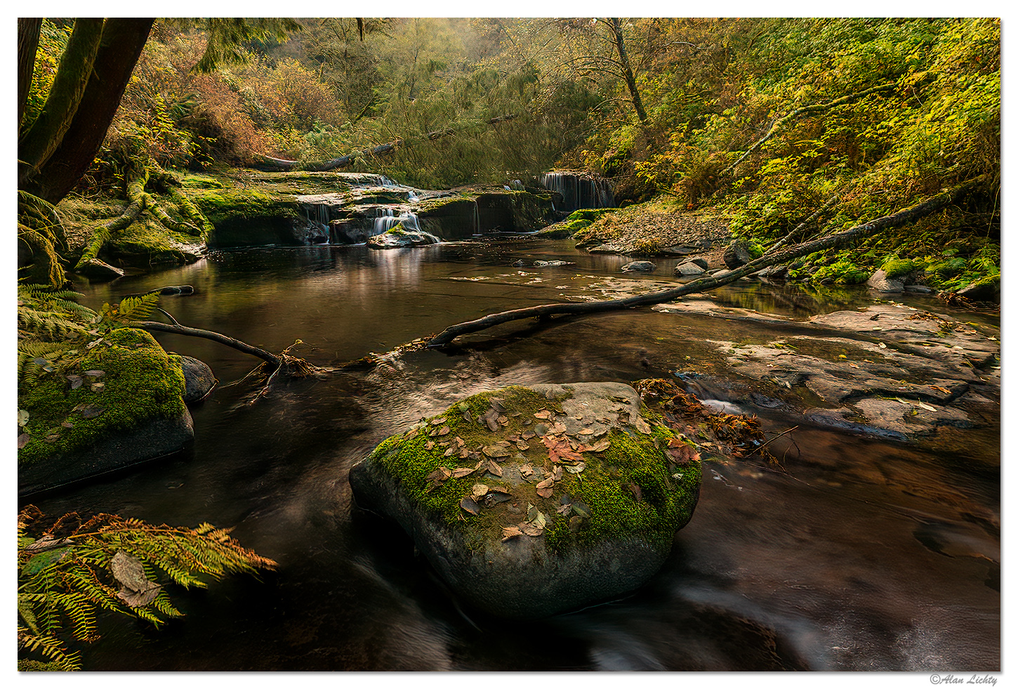 Sweet Creek Tree Falls