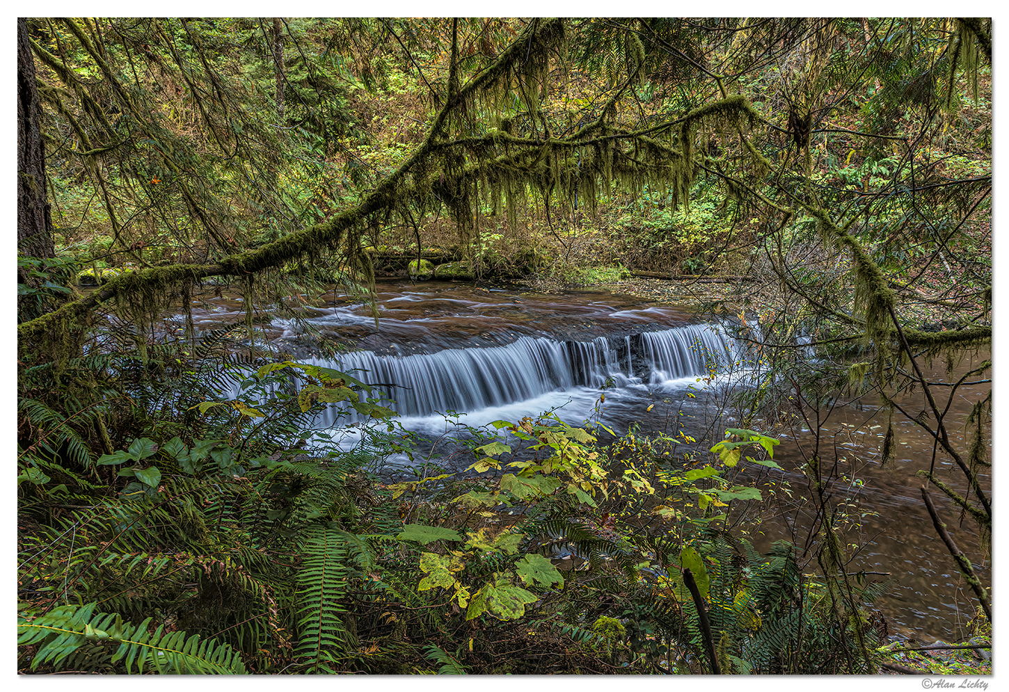 Sweet Creek - Upper Ledge Falls