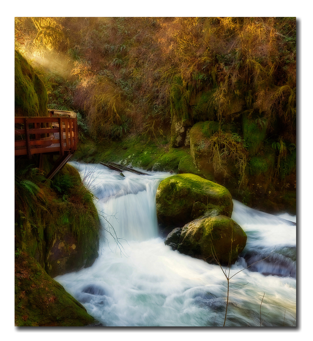 Sweet Creek