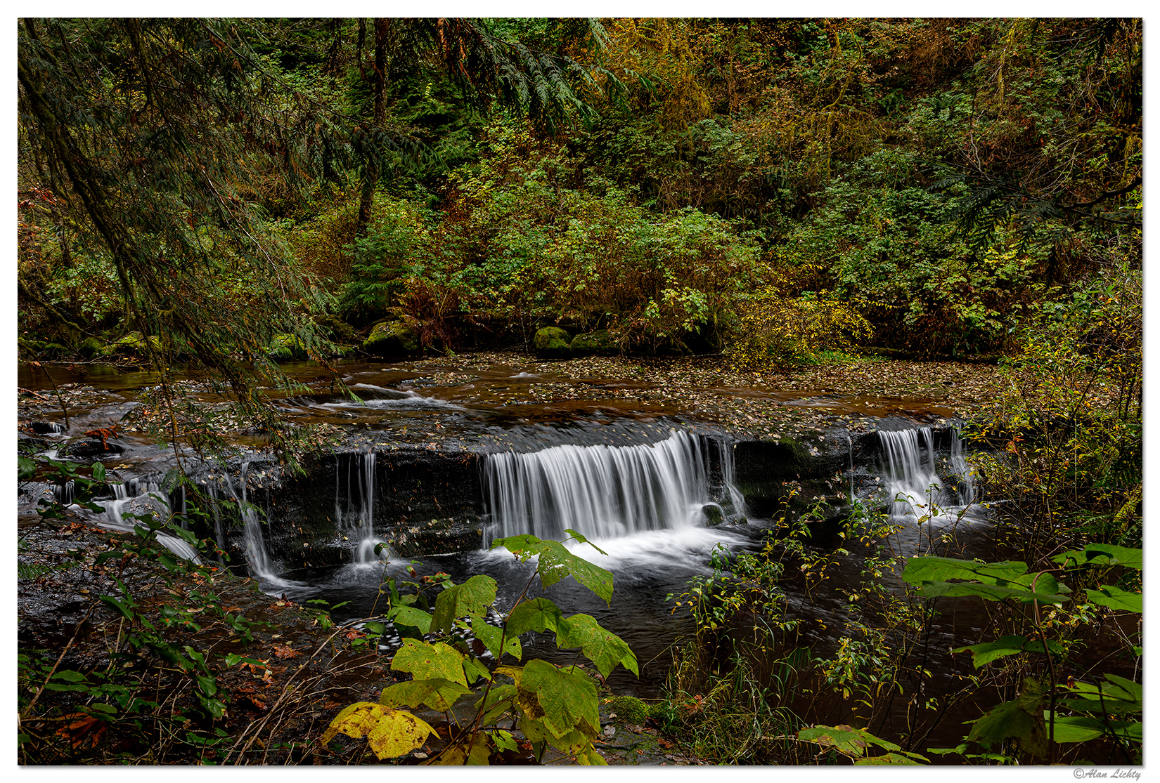 Sweet Creek