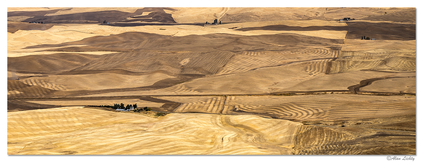 The Fields of the Palouse