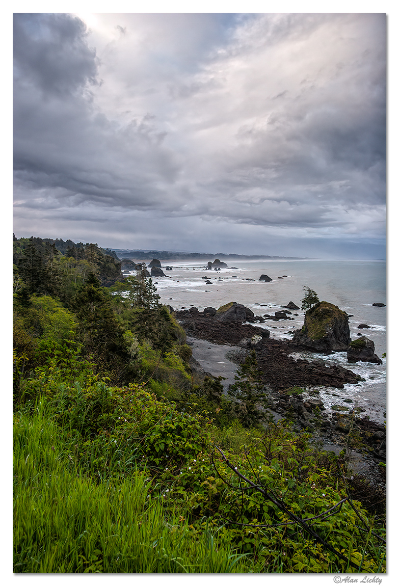 The Rocky Shoreline of Trinidad