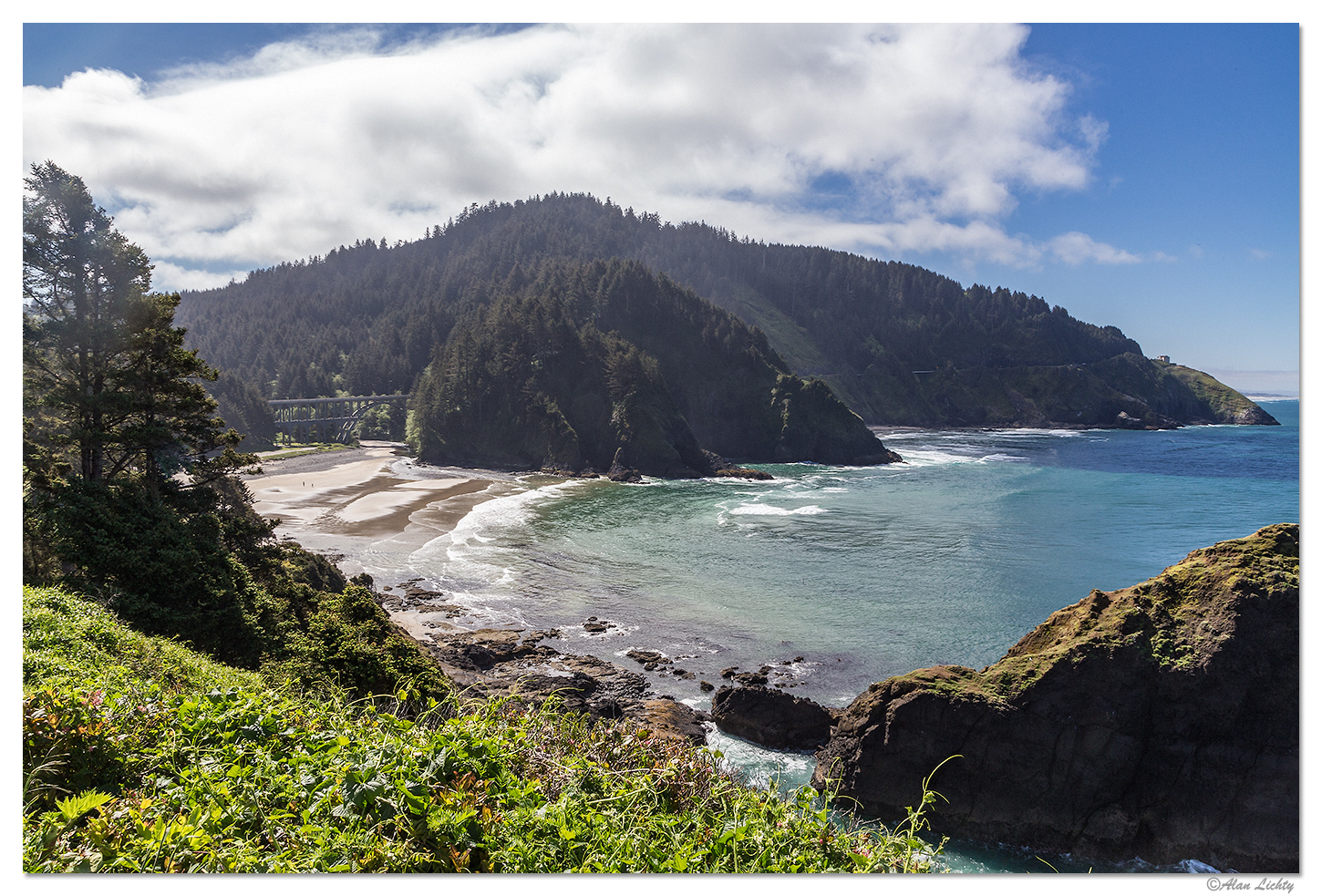 The view from Heceta Head