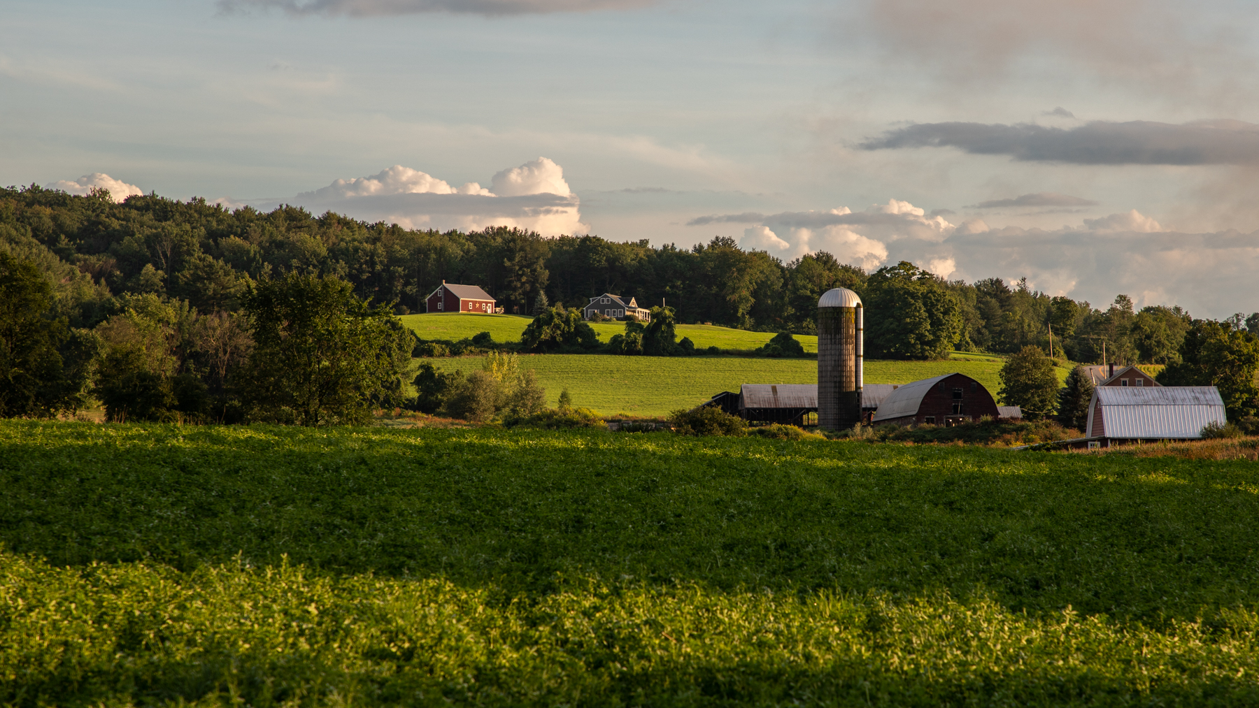 Vermont Farm