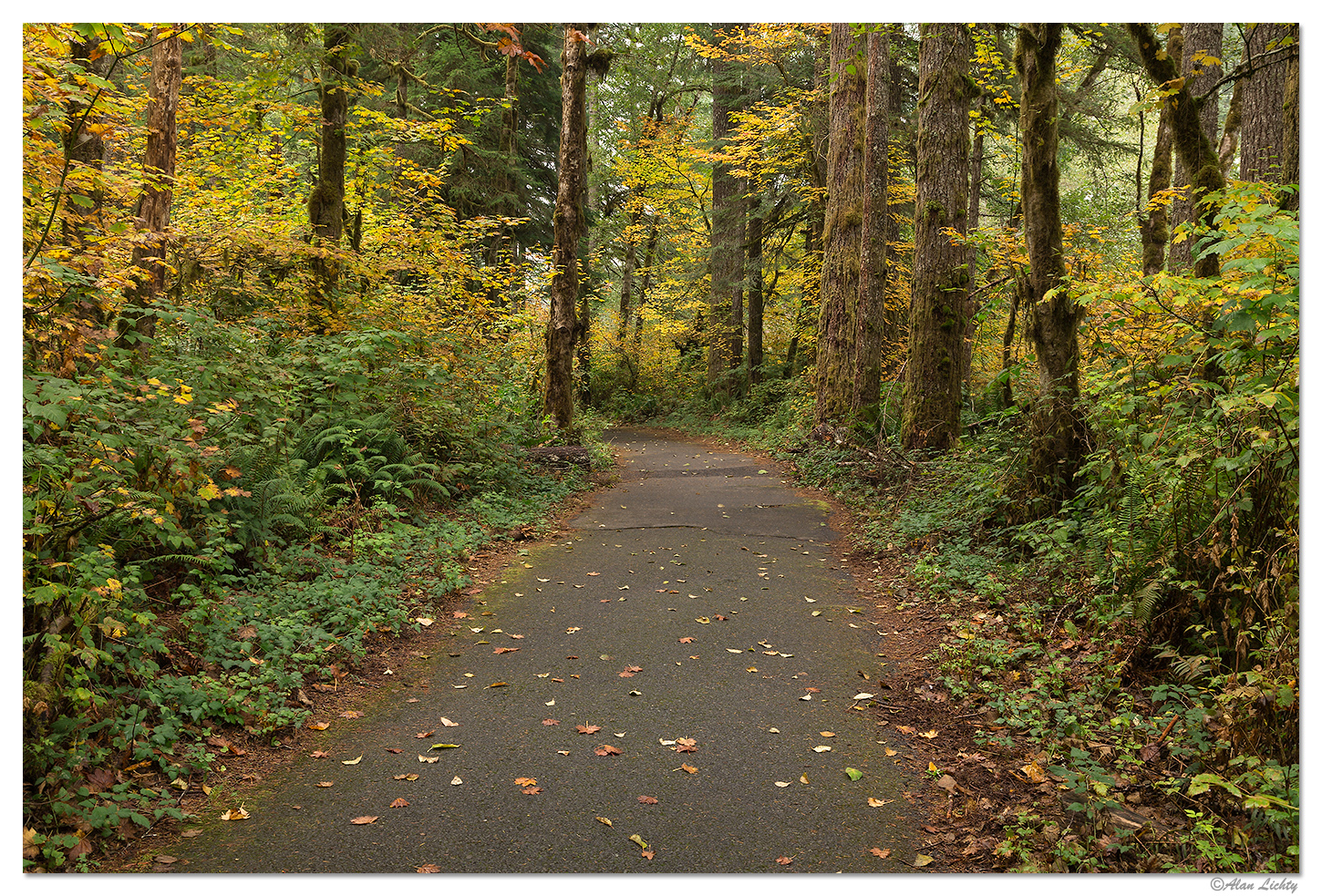 Views Along a Trail
